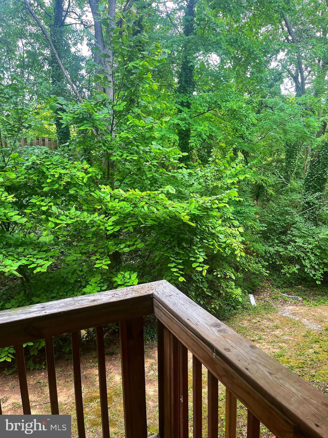 MARKHAM VIEW CONDOMINIUMS - Residential