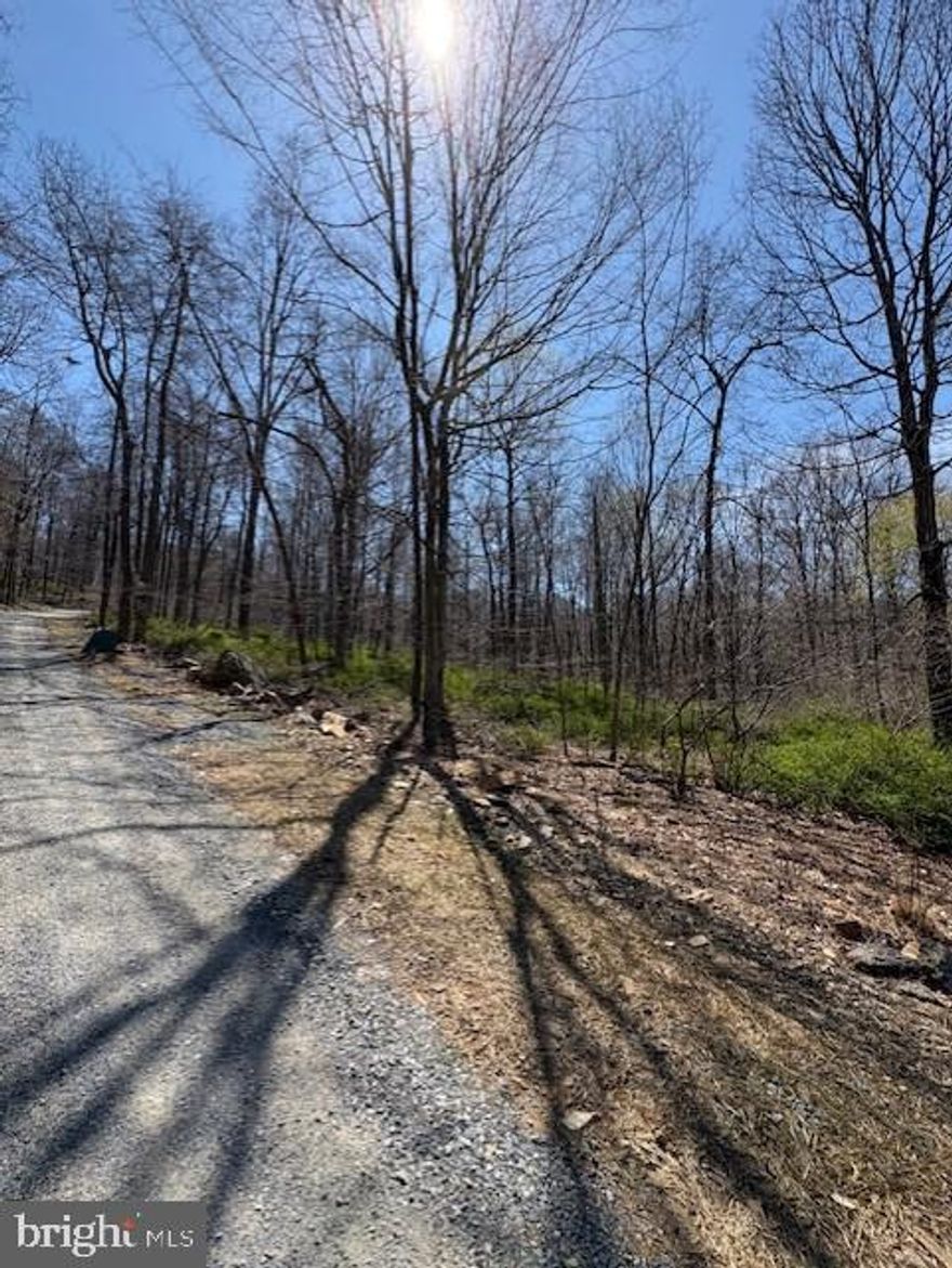 This is a beautiful lot to build your dream home or vacation home and in a great location as well! 5 acres of possibility here and part of a 5 lot subdivision known called Owens Creek Overlook. This lot has accessibility to electric, an installed 5 gallon per minute well, and perc approved for 3 bedroom (Buyers to also confirm with county) as well as front clearing by the road. This lot does have a shared driveway with back and side lots with a maintenance agreement. 3 minutes away from Catoctin mountain park. Come see today, where you will be building your dream home tomorrow!