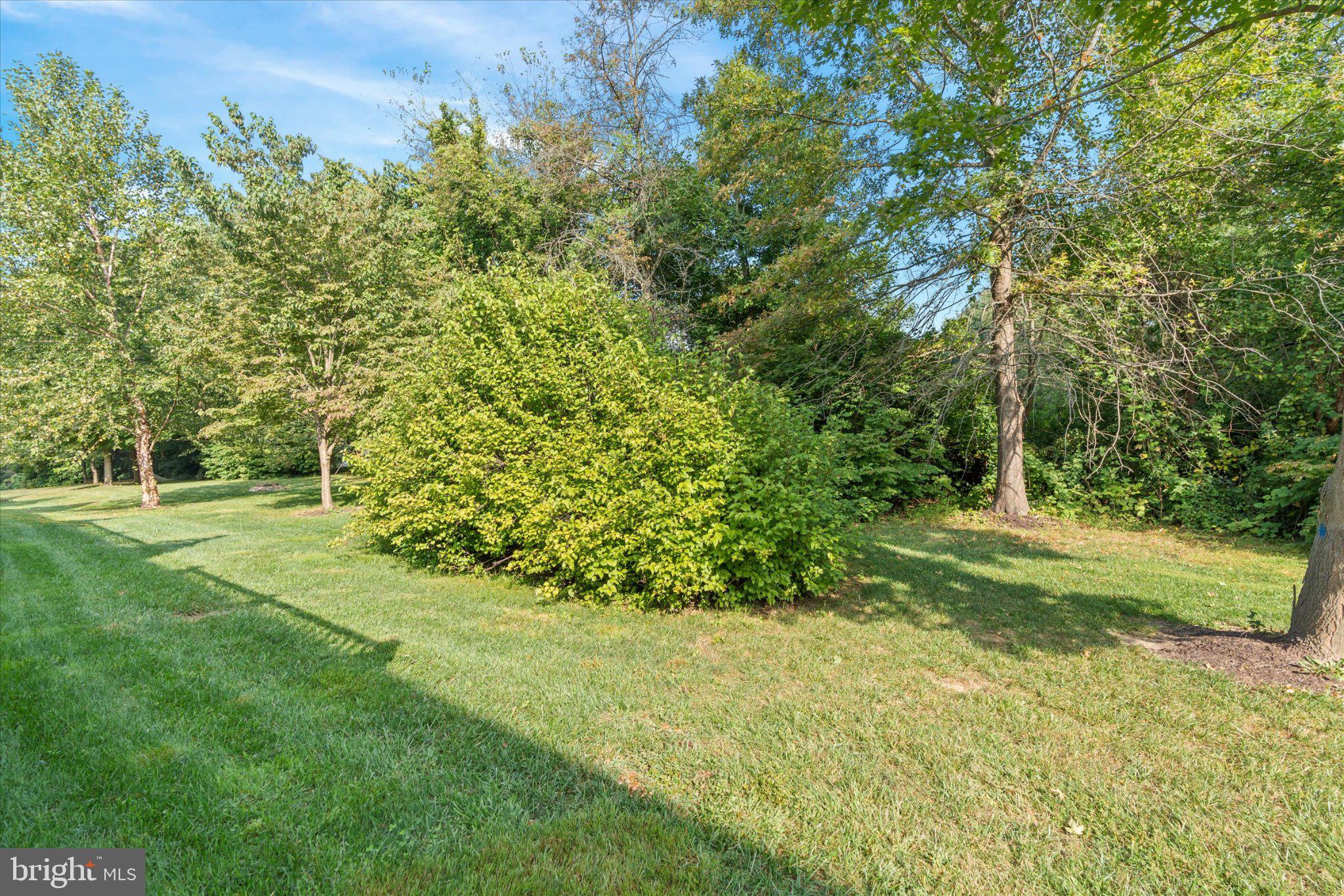 HOCKESSIN MEWS - Residential