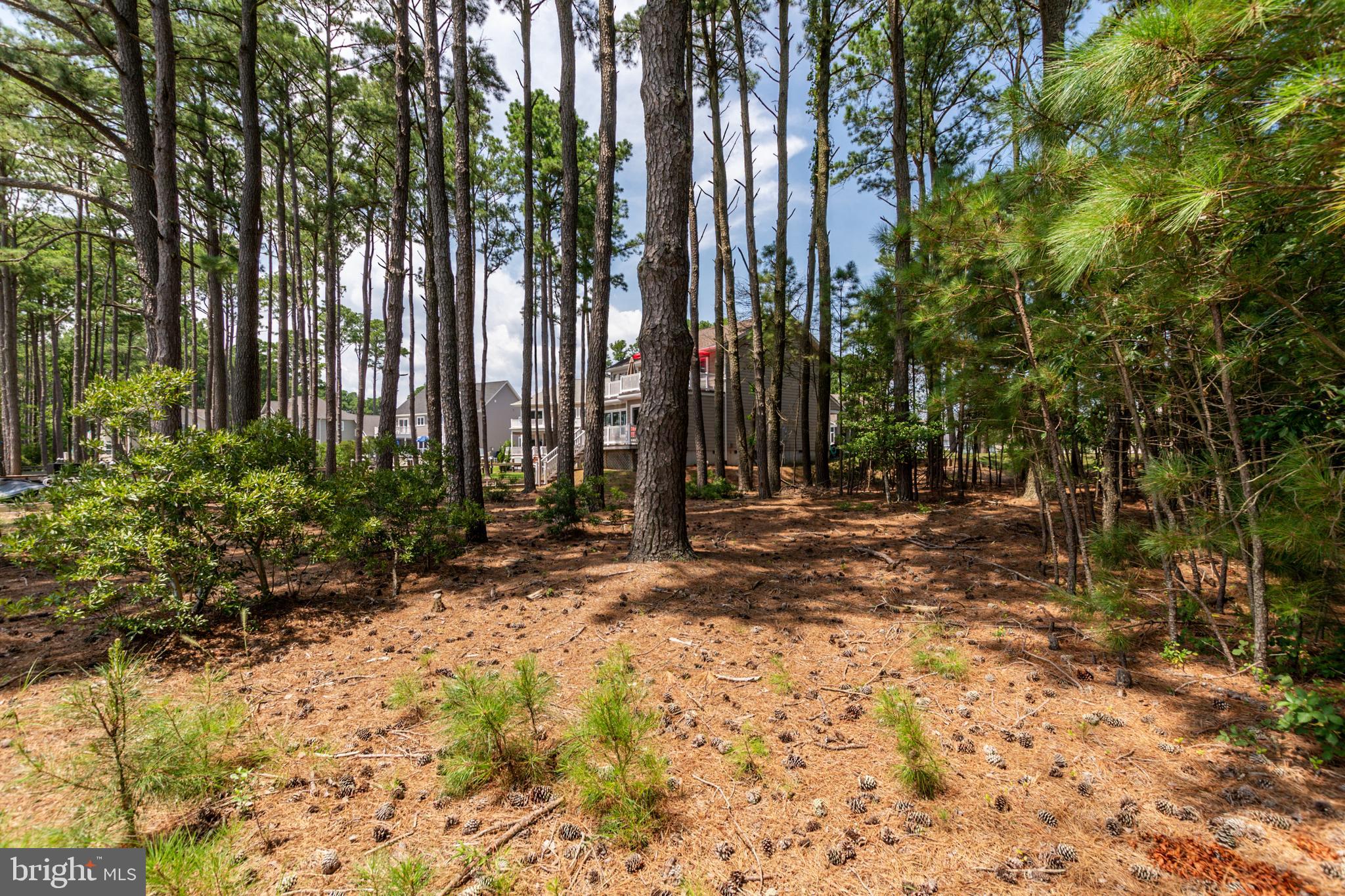 OCEAN PINES - THE POINT - Land