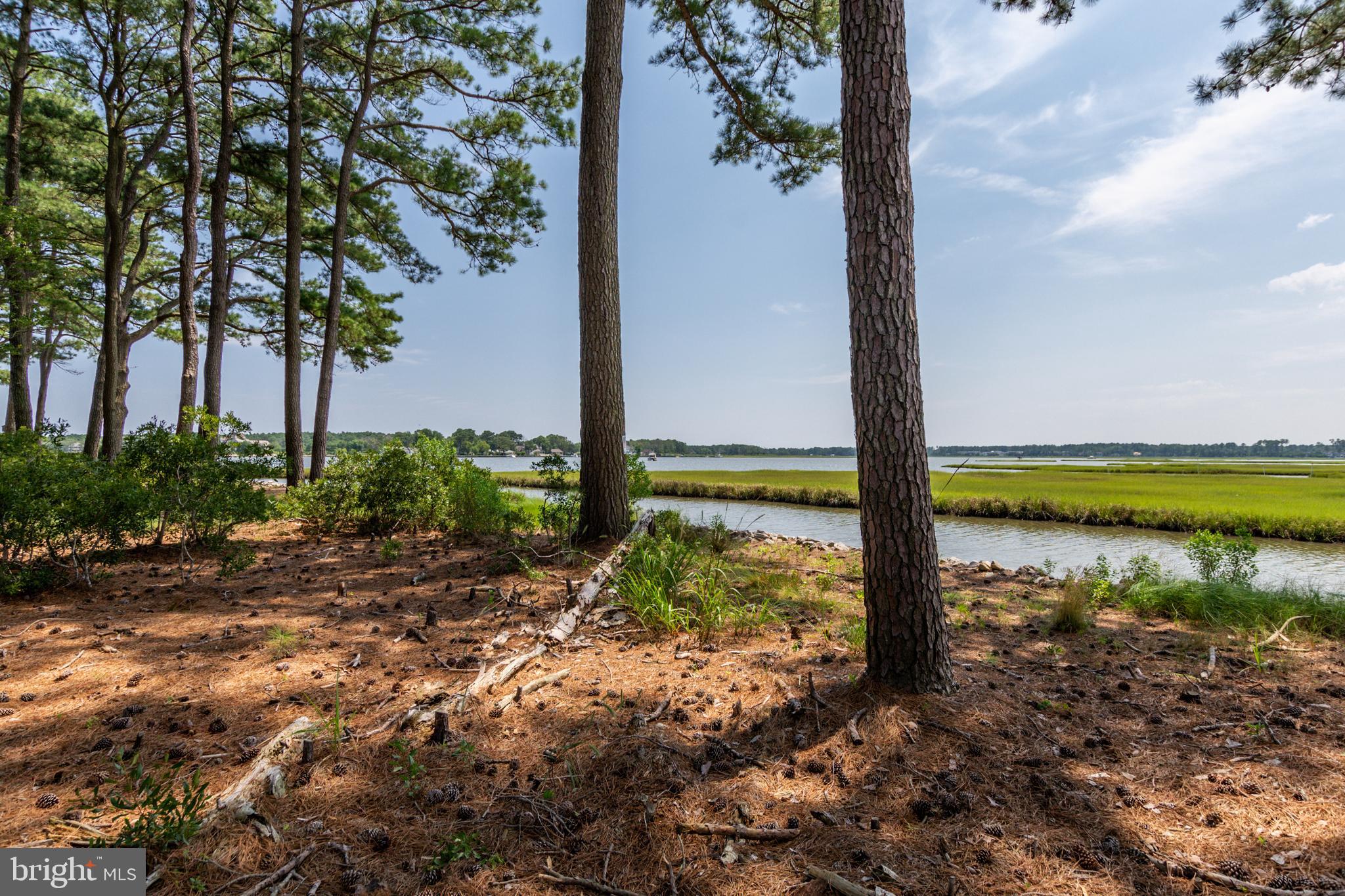 OCEAN PINES - THE POINT - Land
