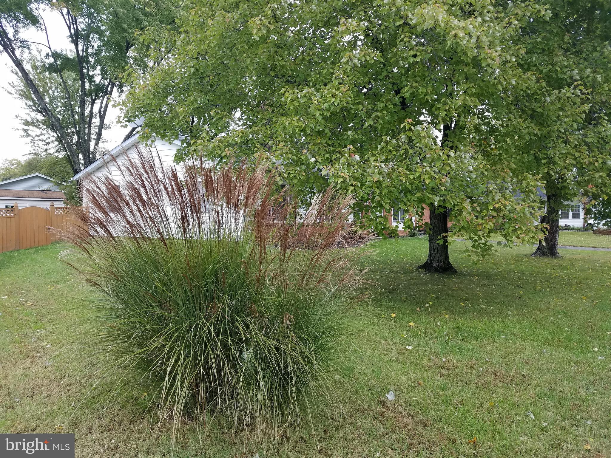 STERLING - Residential Lease