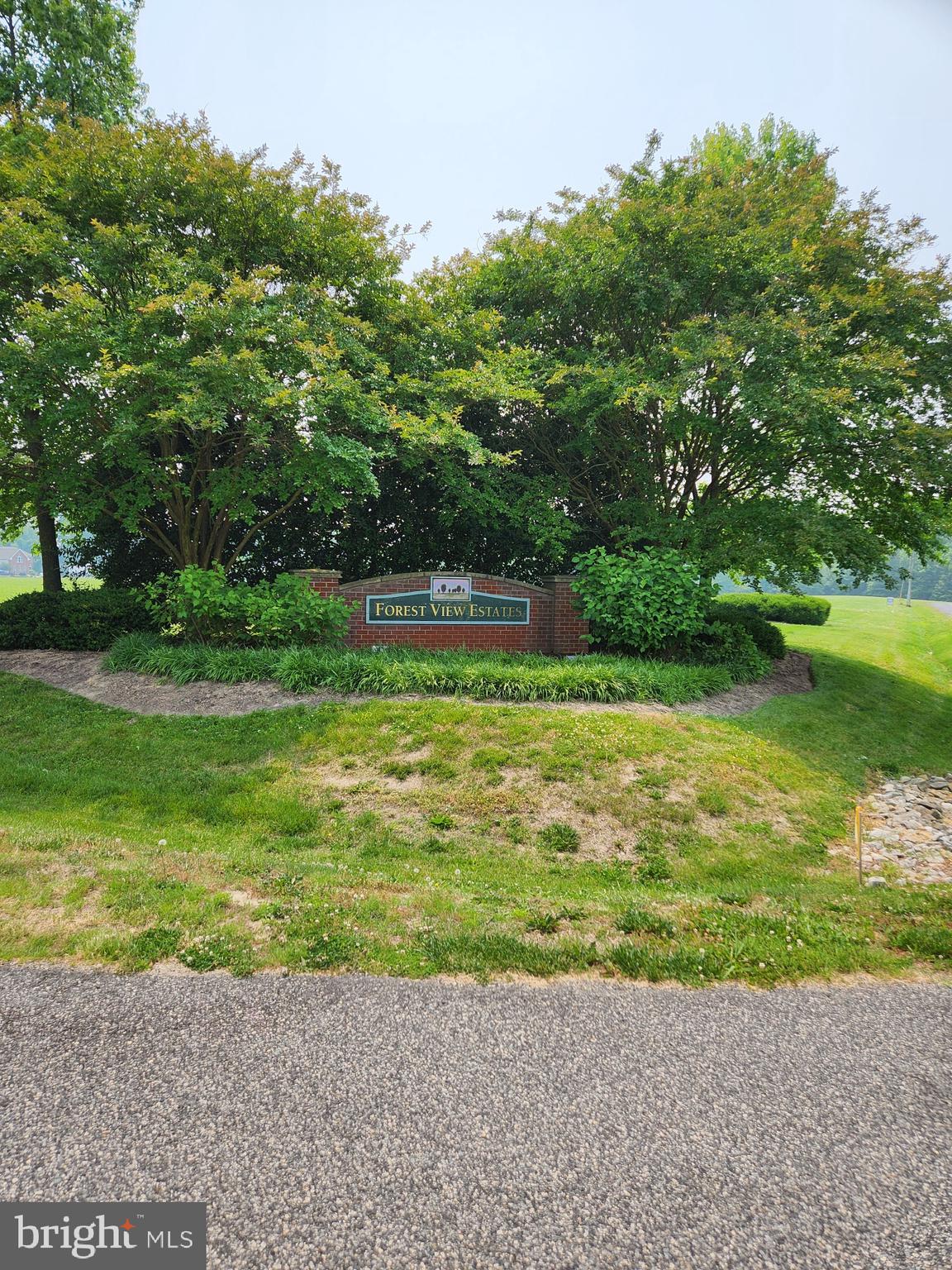 FOREST VIEW ESTATES - Land