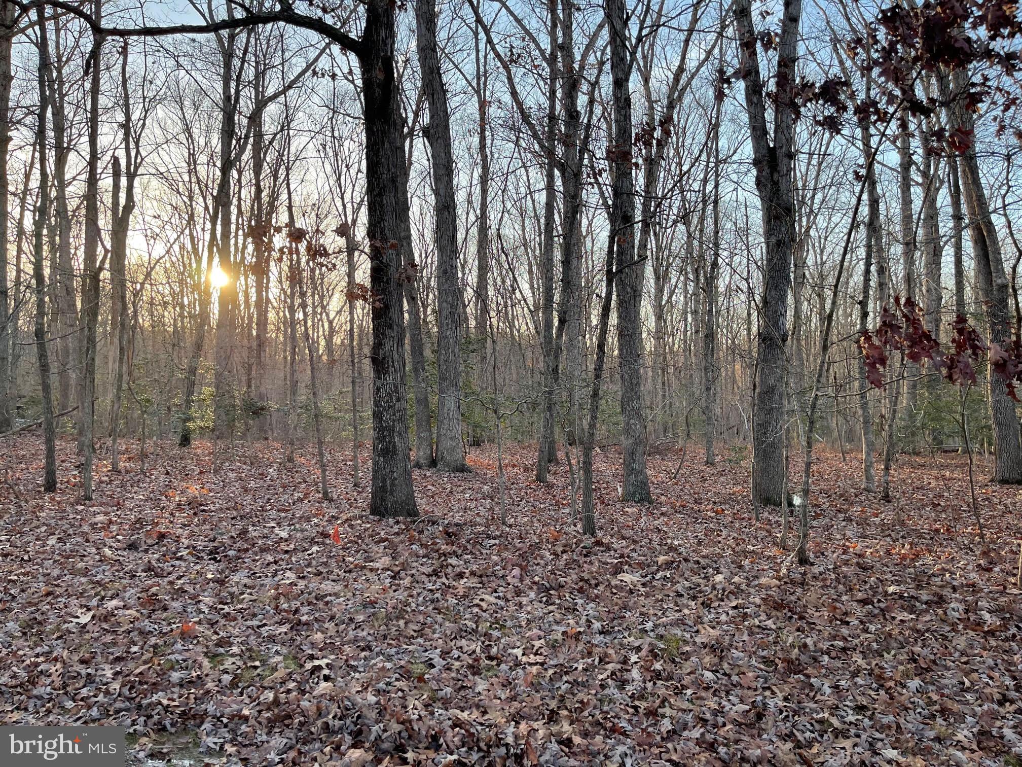 WINDWOOD COVES - Land