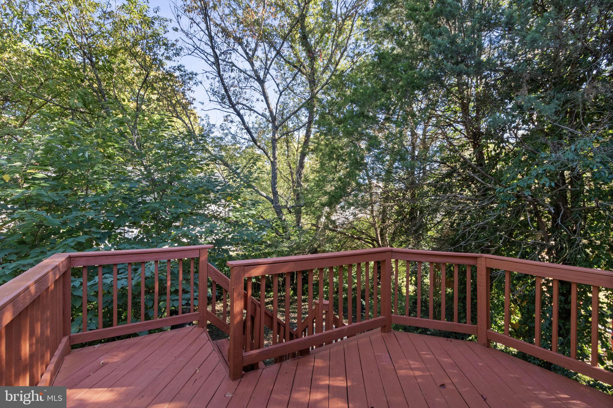 CHANCELLOR GREEN - Residential