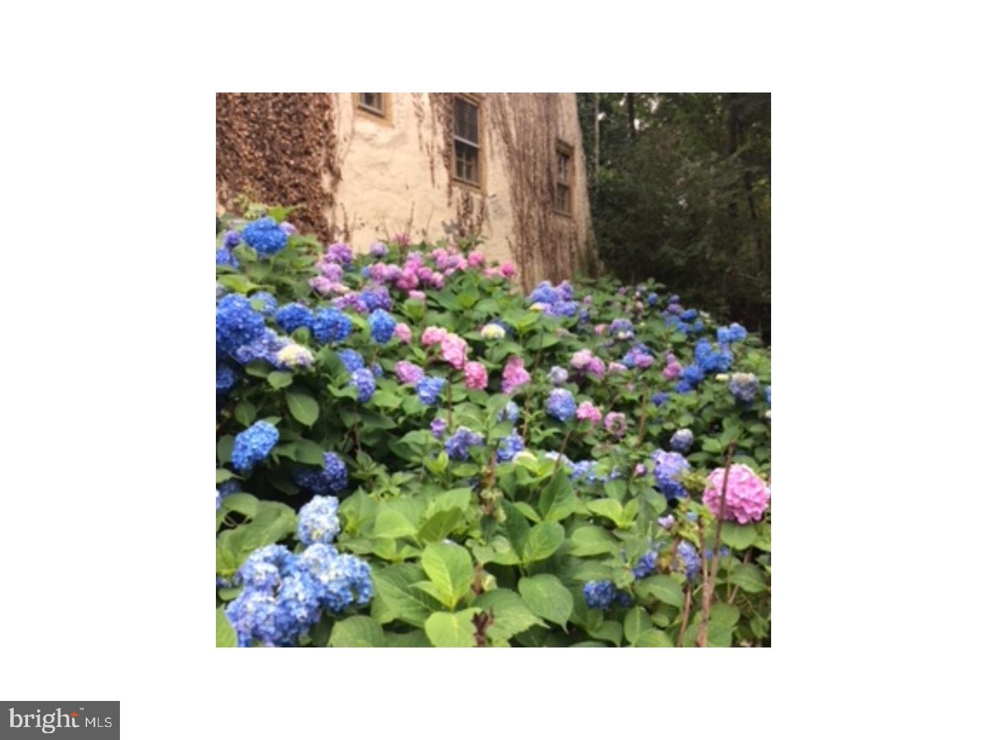 MT AIRY (WEST) - Residential