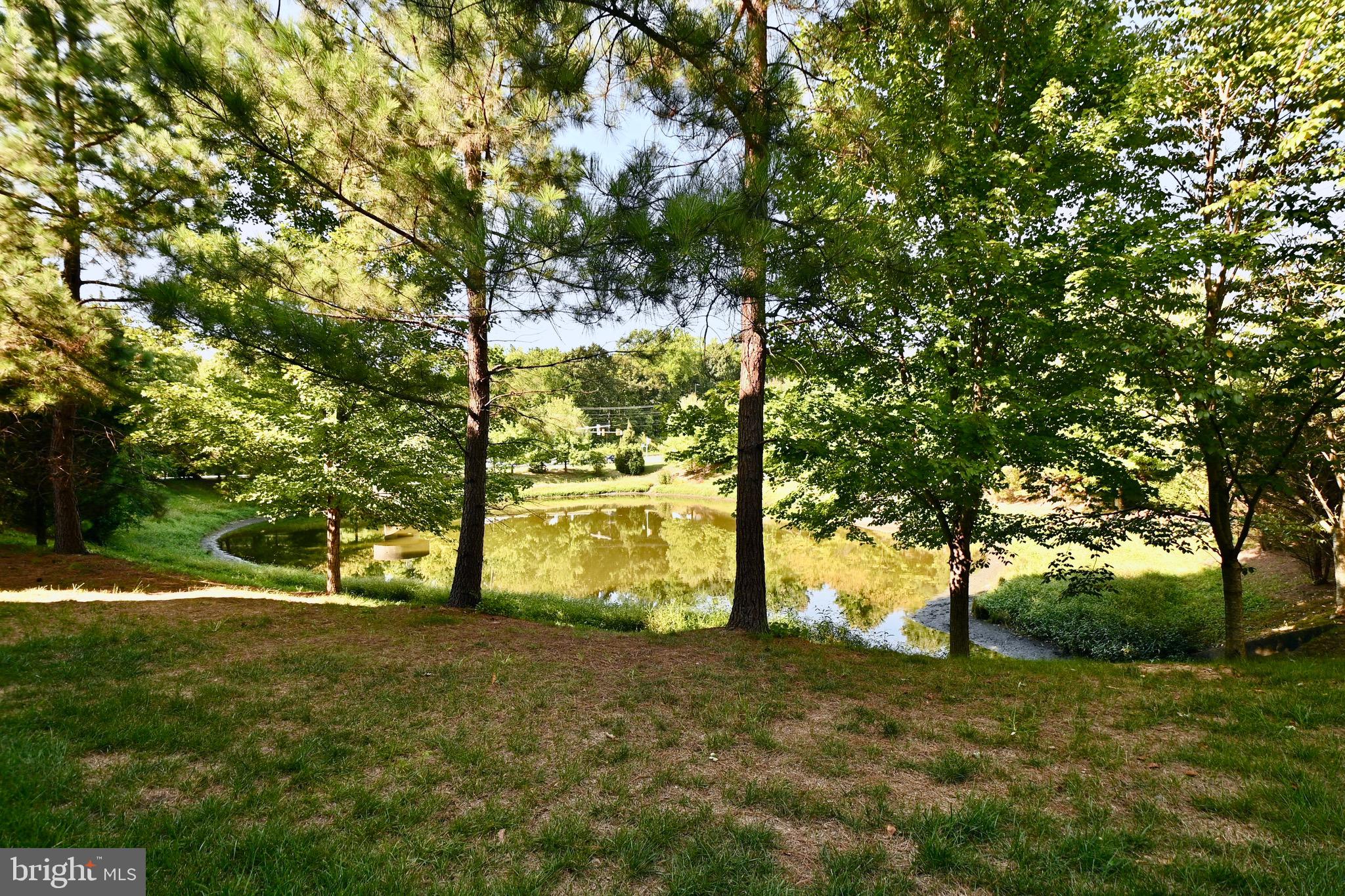 CHESTERFIELD A CONDOMINIUM - Residential