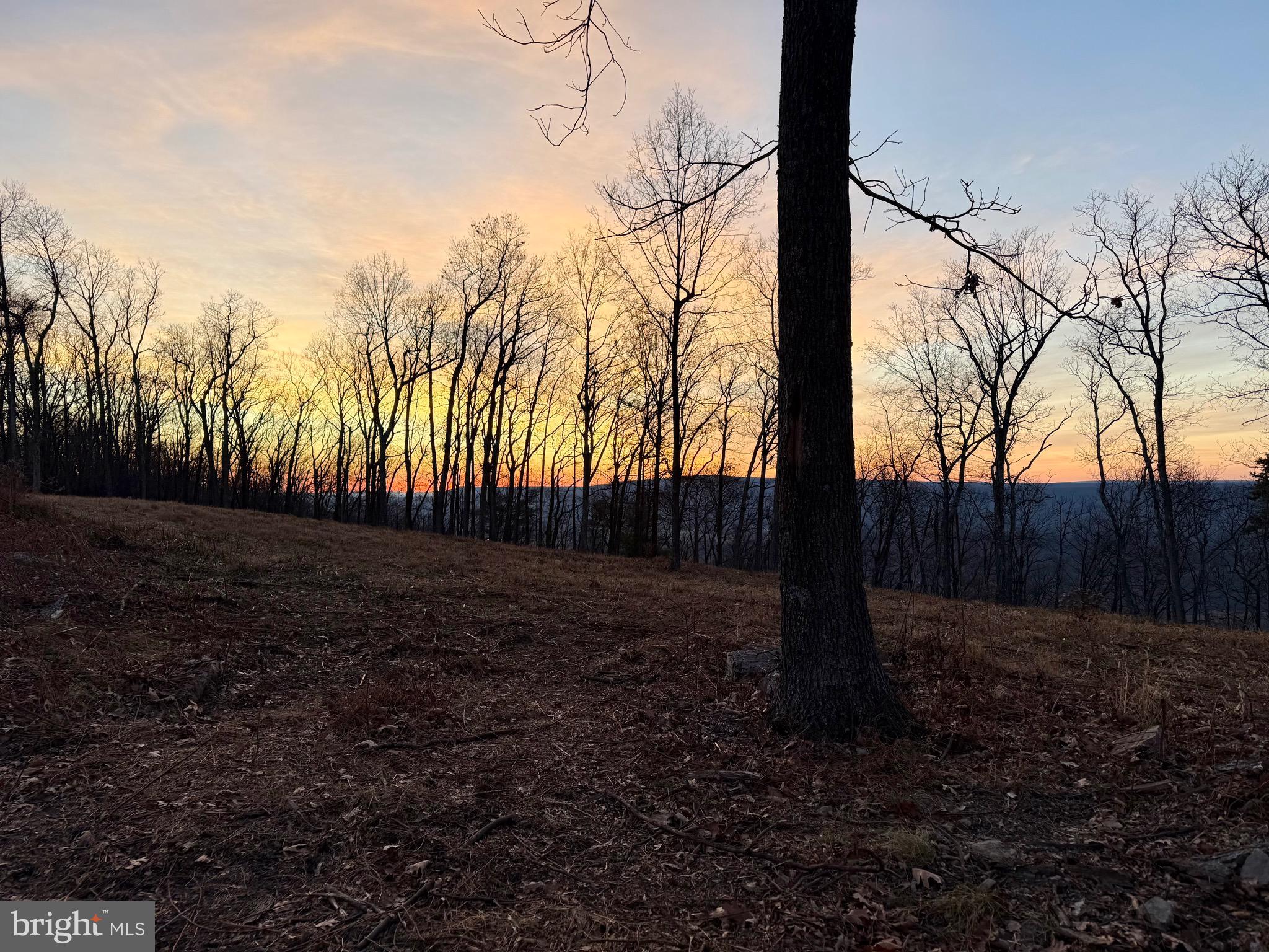 VANDALIA RD - 10.03 AC P/O LOT 1