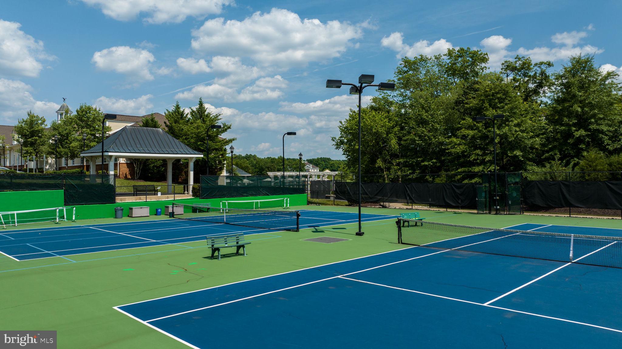 REGENCY AT DOMINION VALLEY - Residential