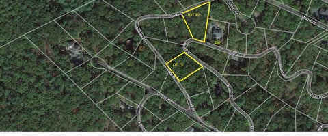 Vacant Land For Sale - LOT 75 Dooley<br/> BASYE, VA 22810