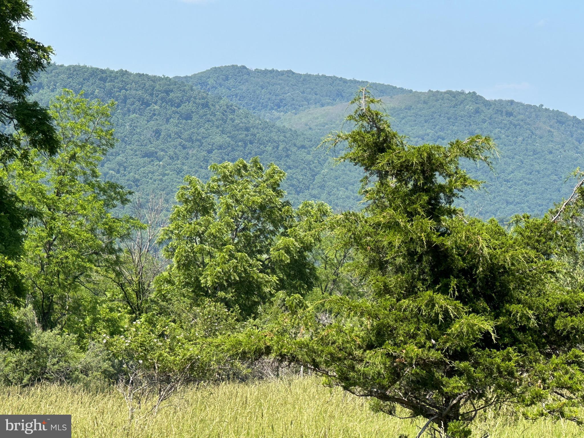 Beautiful tract of property with a superb location. Mixture of Woodlands and Pasture with a bonus pond. Situated just of US Hwy 48 on the Hardy/Grant County Border.