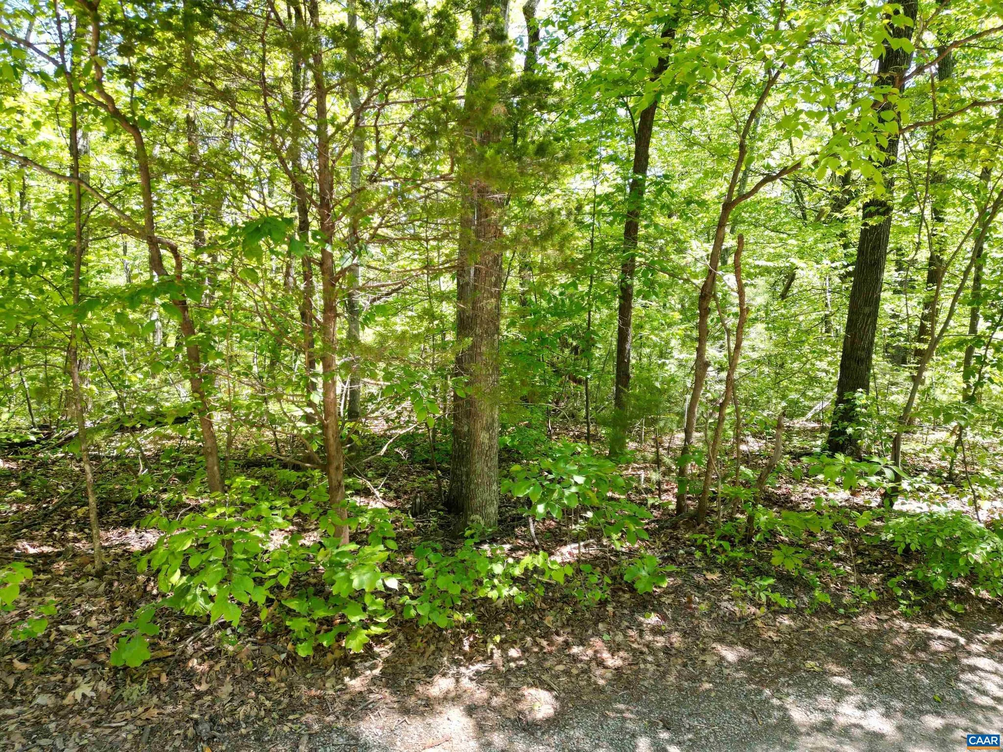 Additional image 12 of Pine Hill Dr, Stanardsville, VA 22973