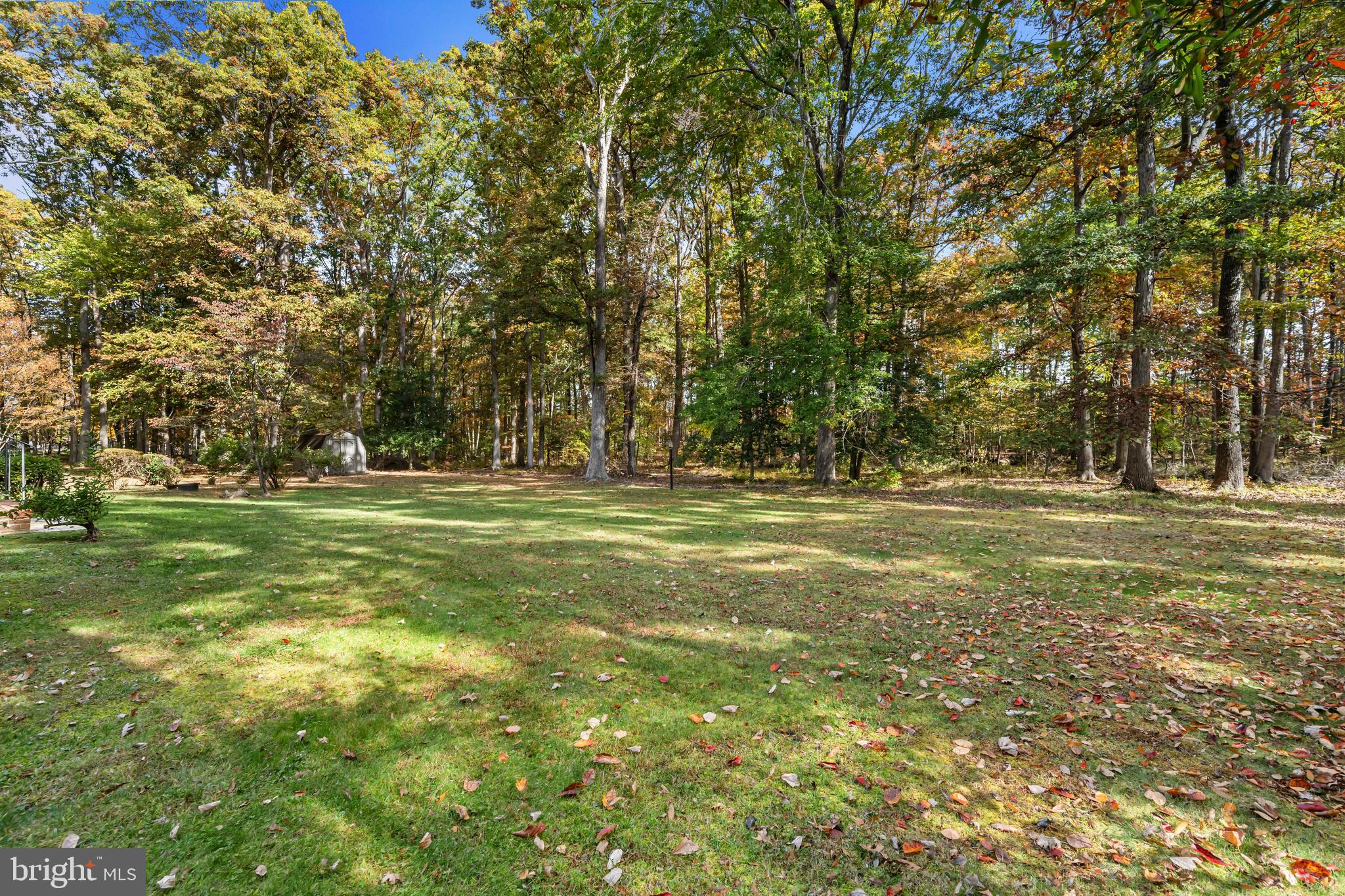 CARRIAGE HILLS - Residential