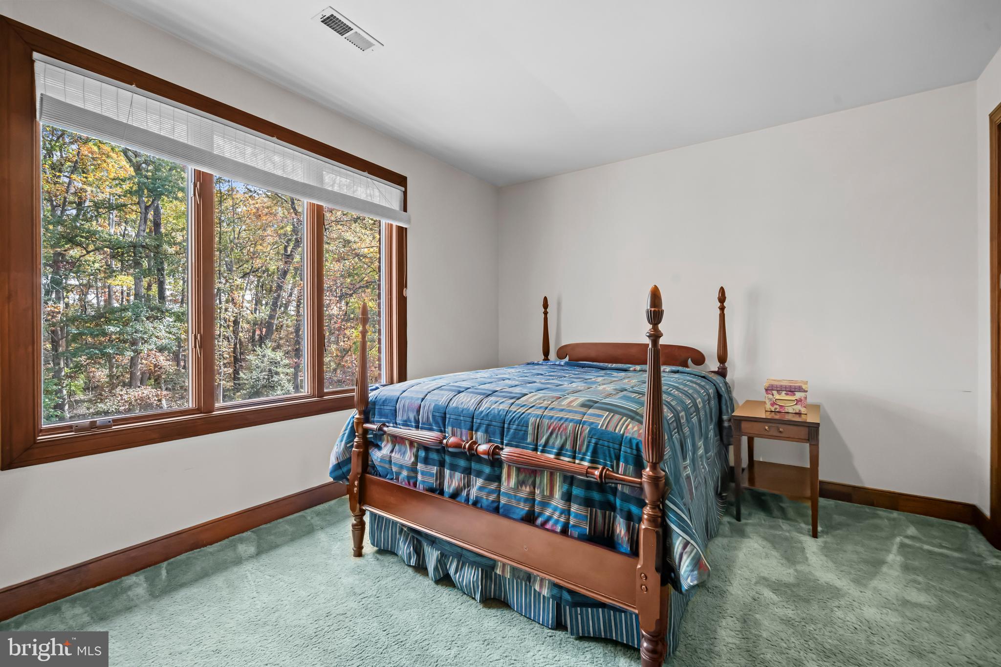 CARRIAGE HILLS - Residential