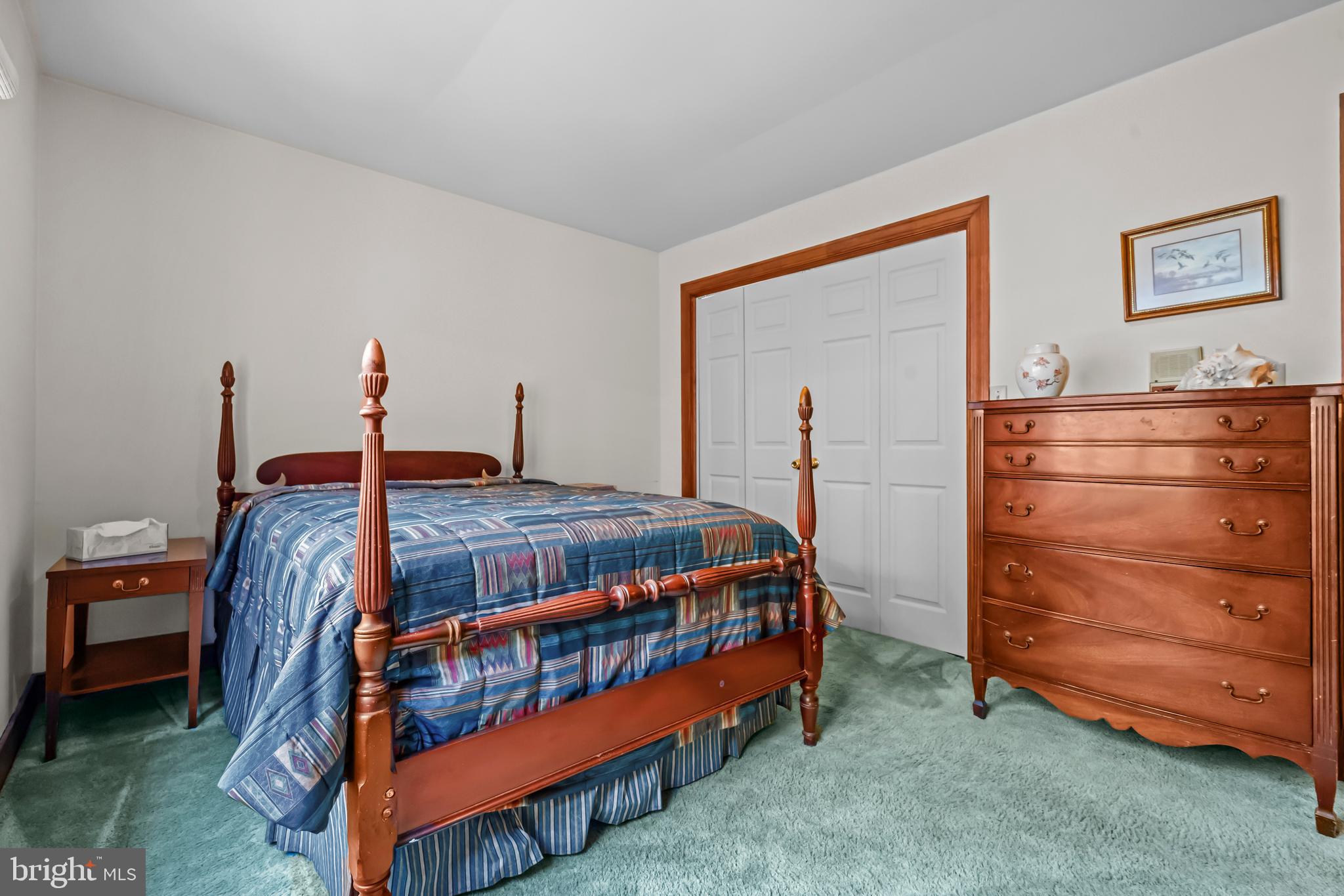 CARRIAGE HILLS - Residential