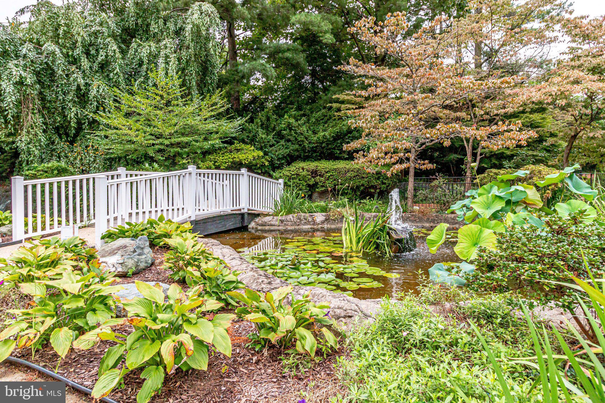 THE COLONIES - Residential