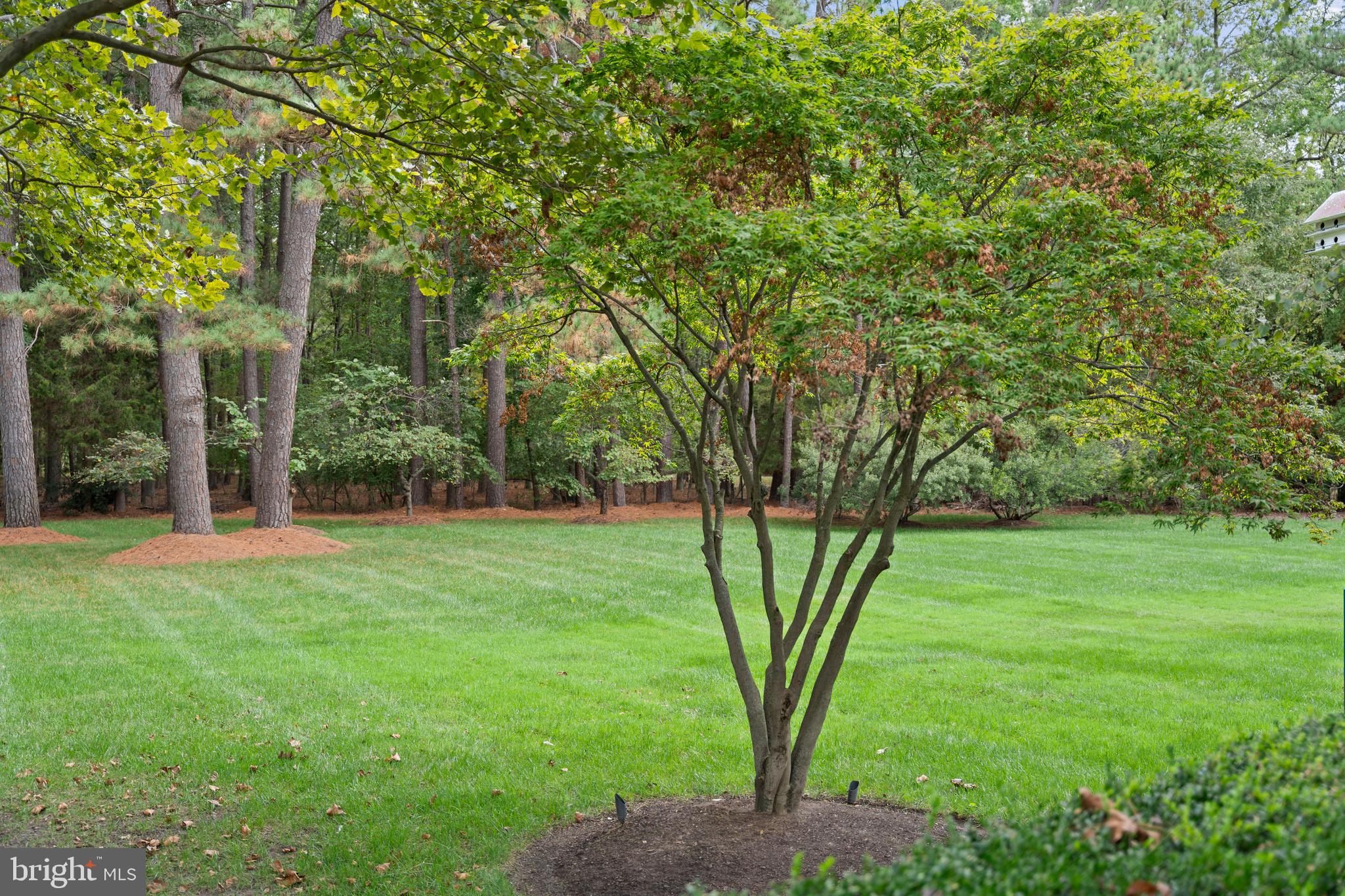 BOZMAN - Residential