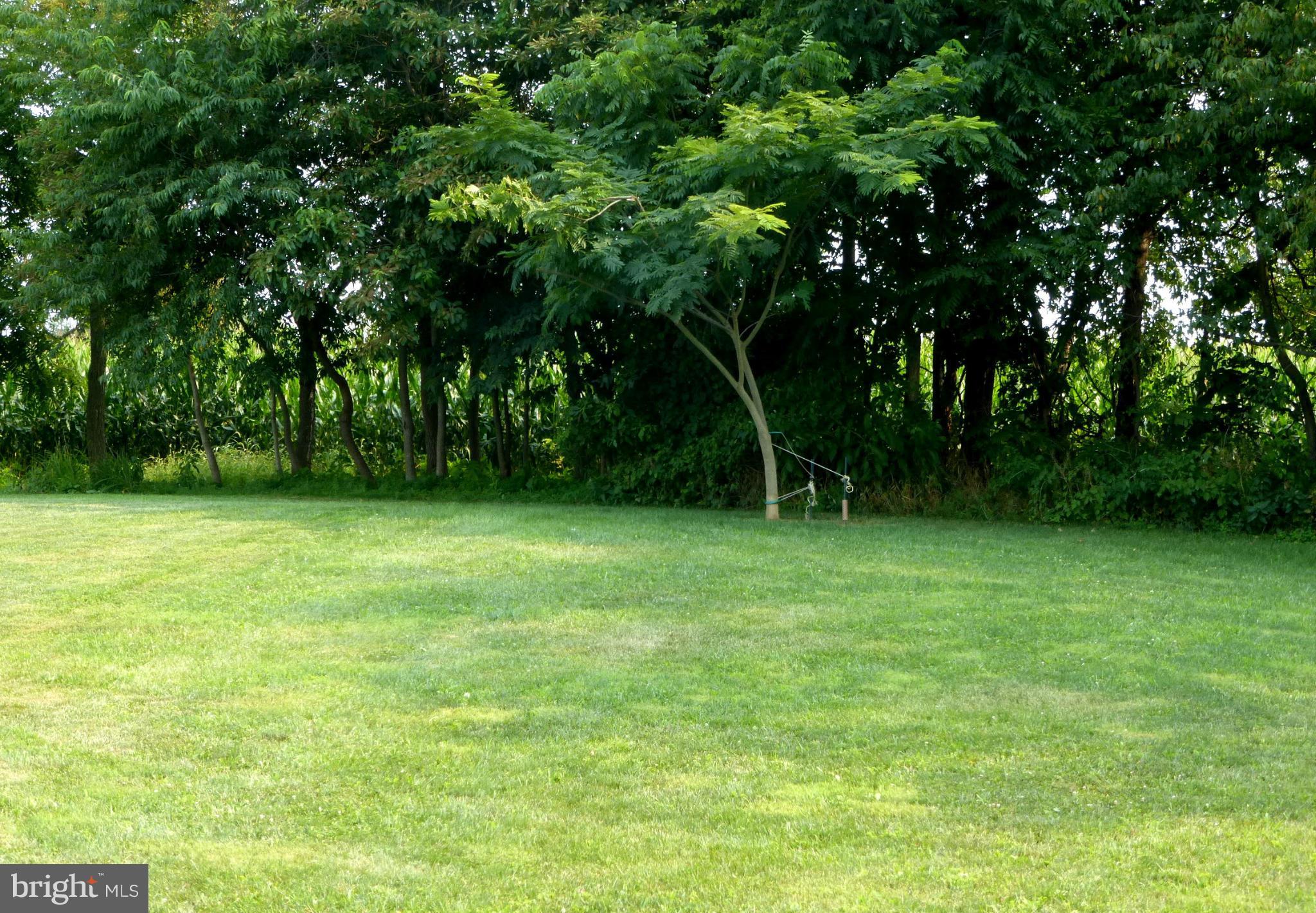 RIDGEFIELD - Residential