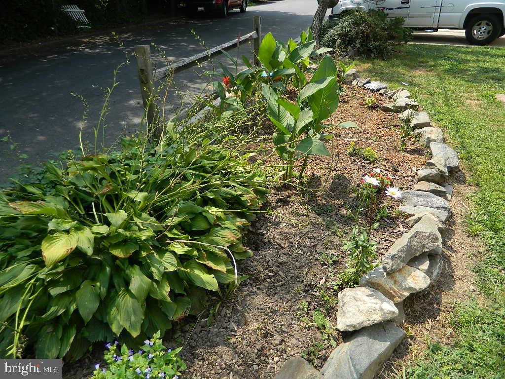 LOCUST SPRINGS - Residential