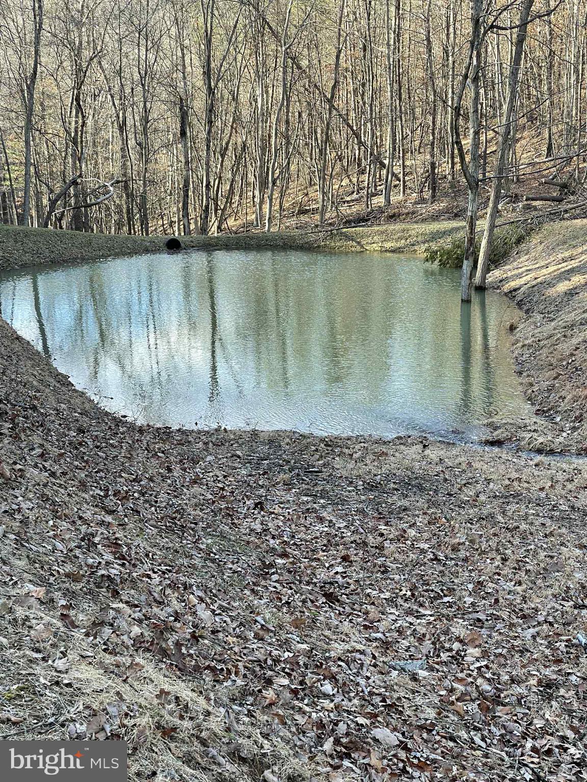 BLUFFS ON THE POTOMAC - Residential