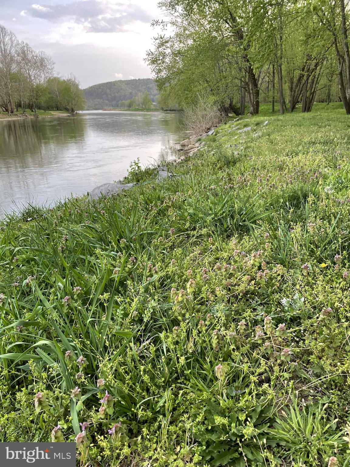 BLUFFS ON THE POTOMAC - Residential