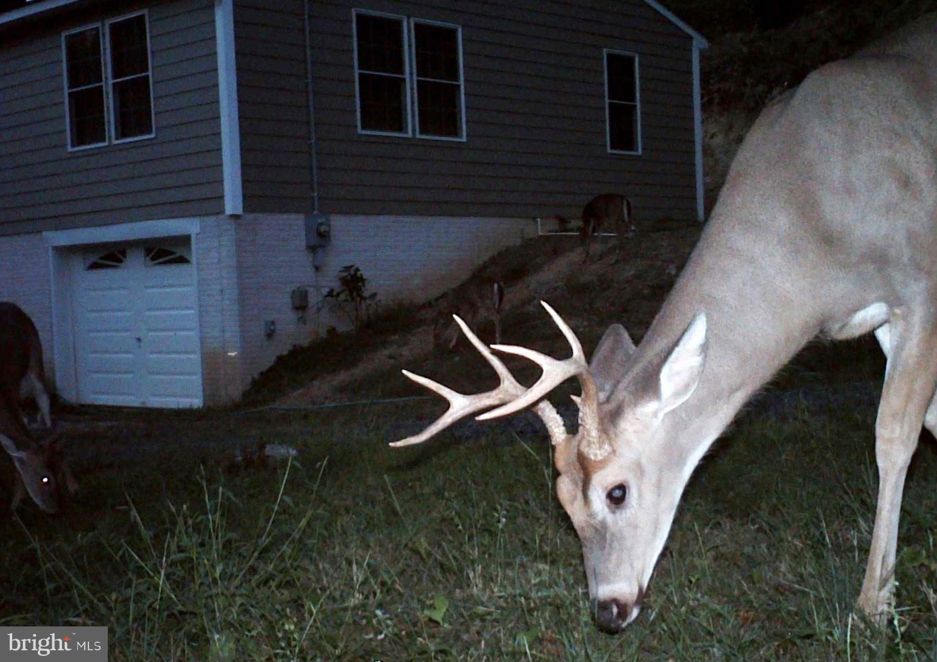 BLUFFS ON THE POTOMAC - Residential