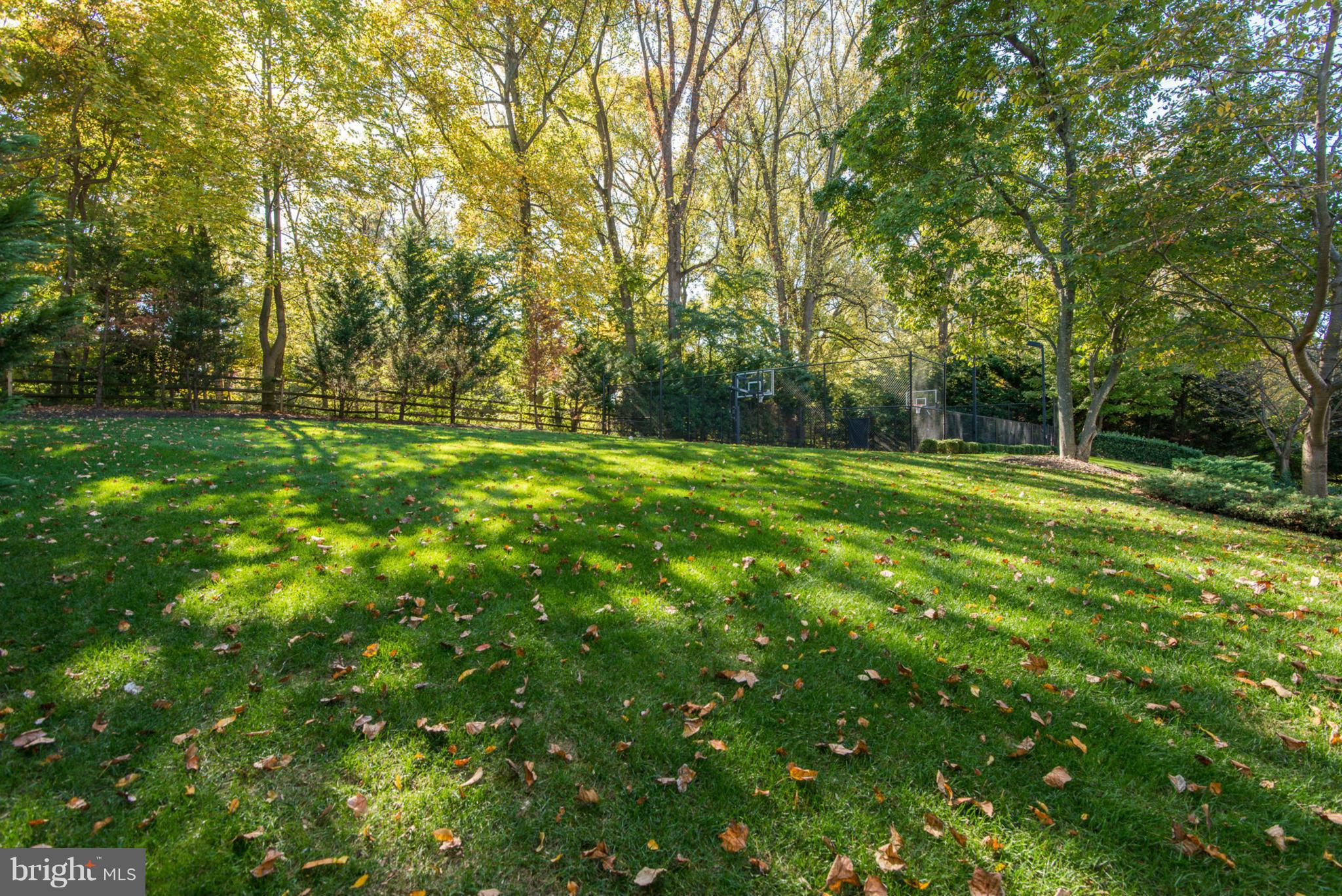 LANGLEY FOREST - Residential