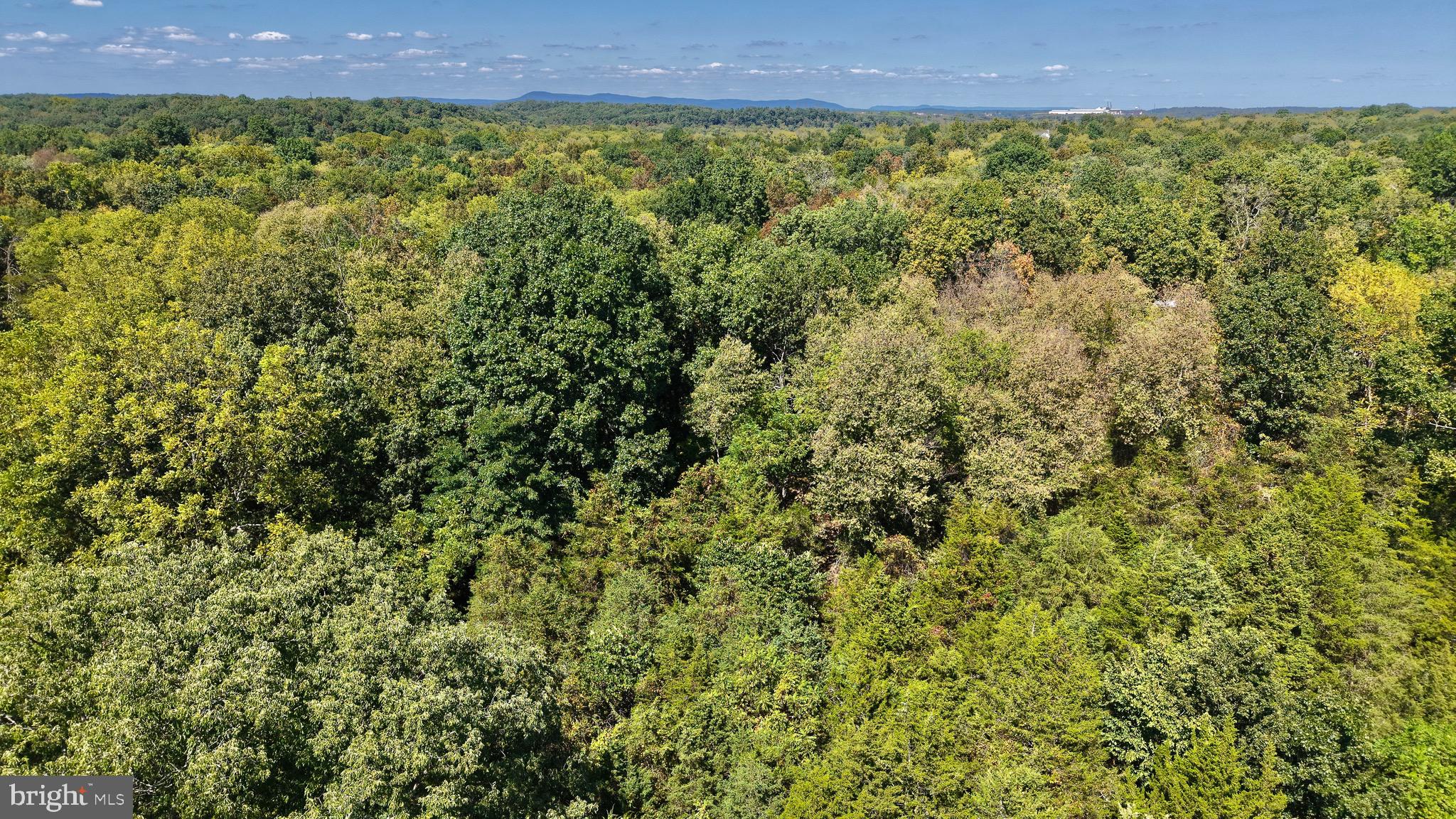 GREYSTONE ON THE OPEQUON - Land