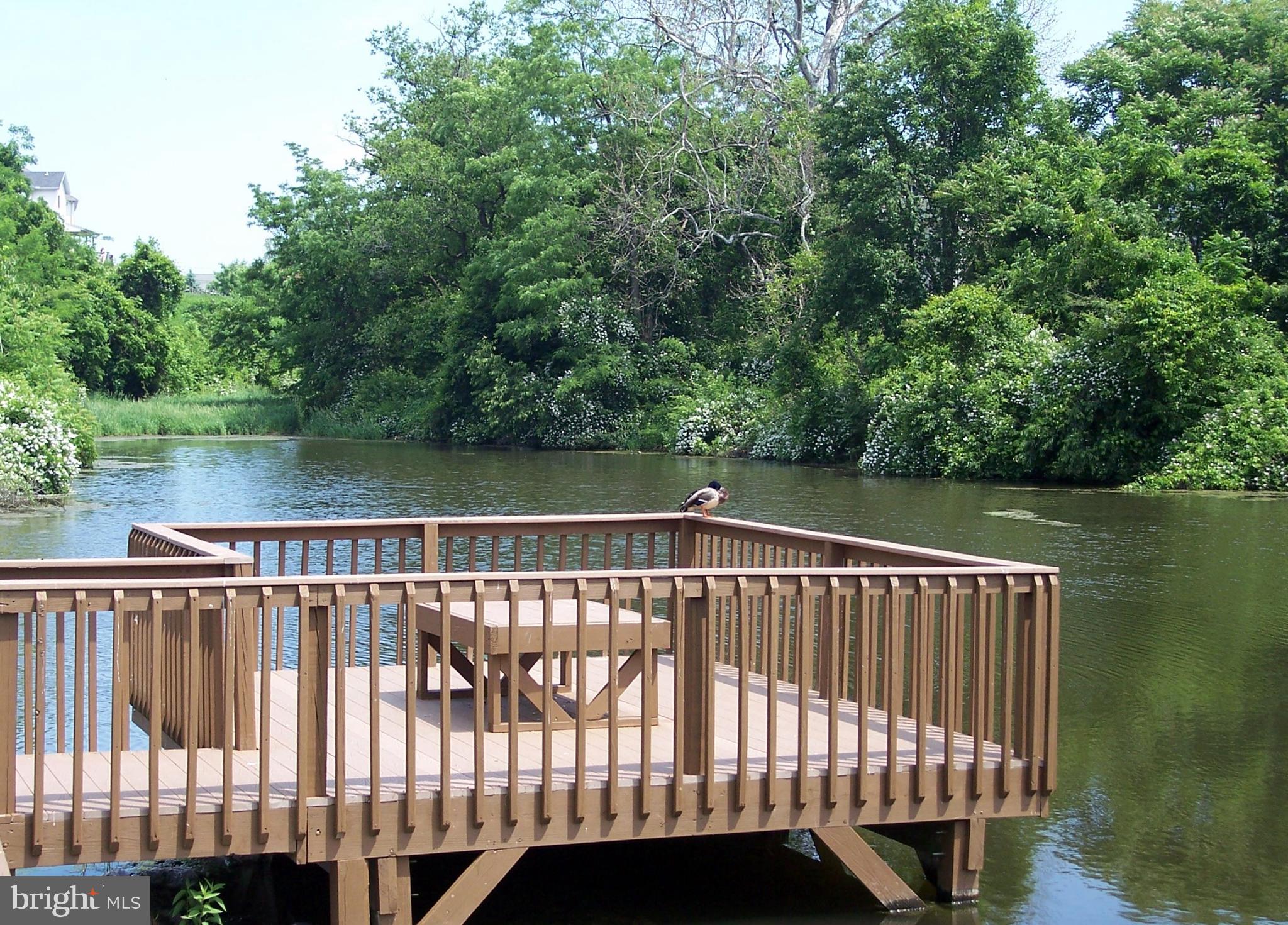 GREENWOOD HILLS - Residential