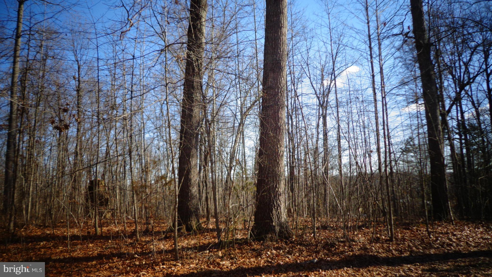 NONE AVAILABLE - Land