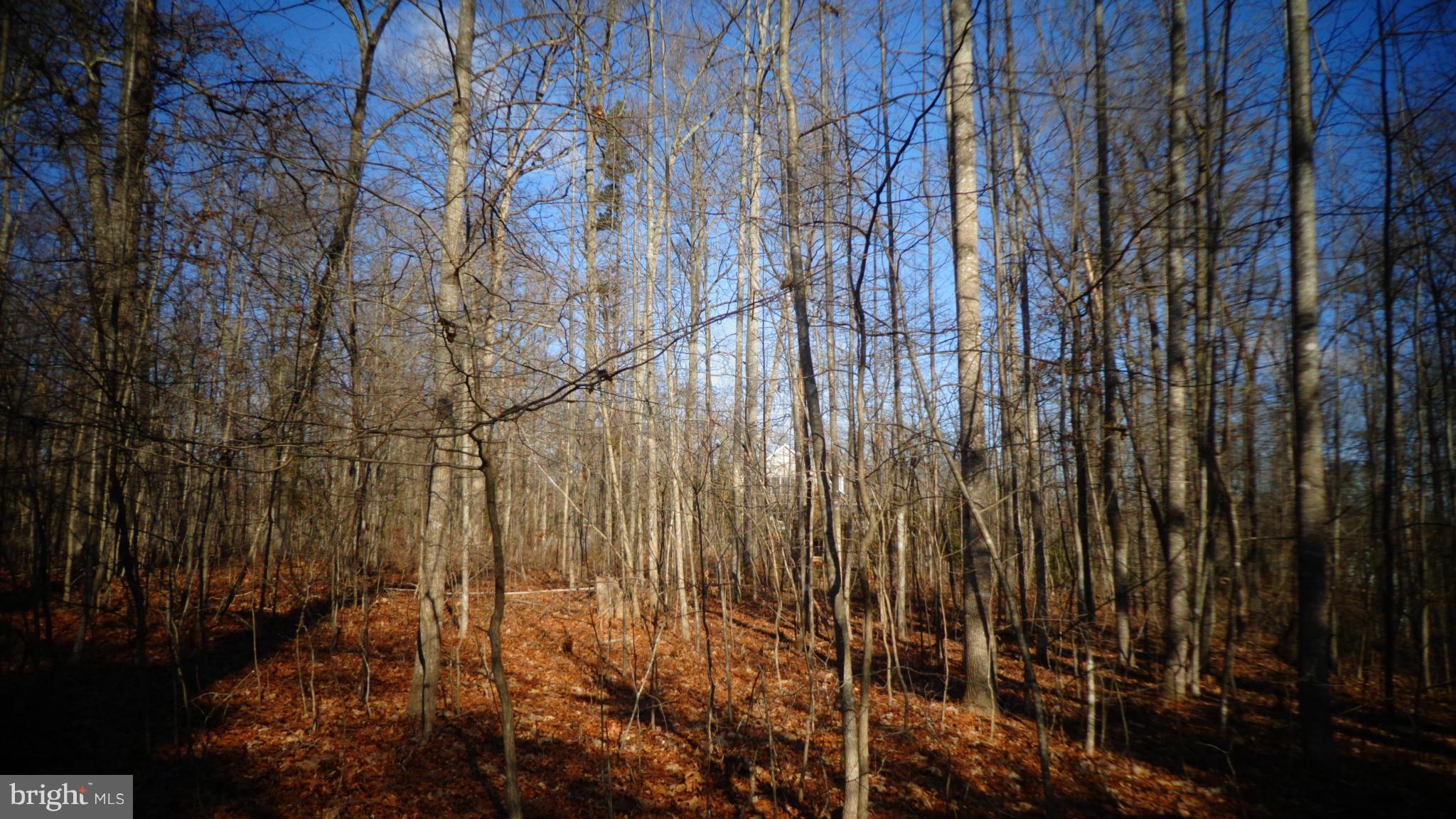 NONE AVAILABLE - Land