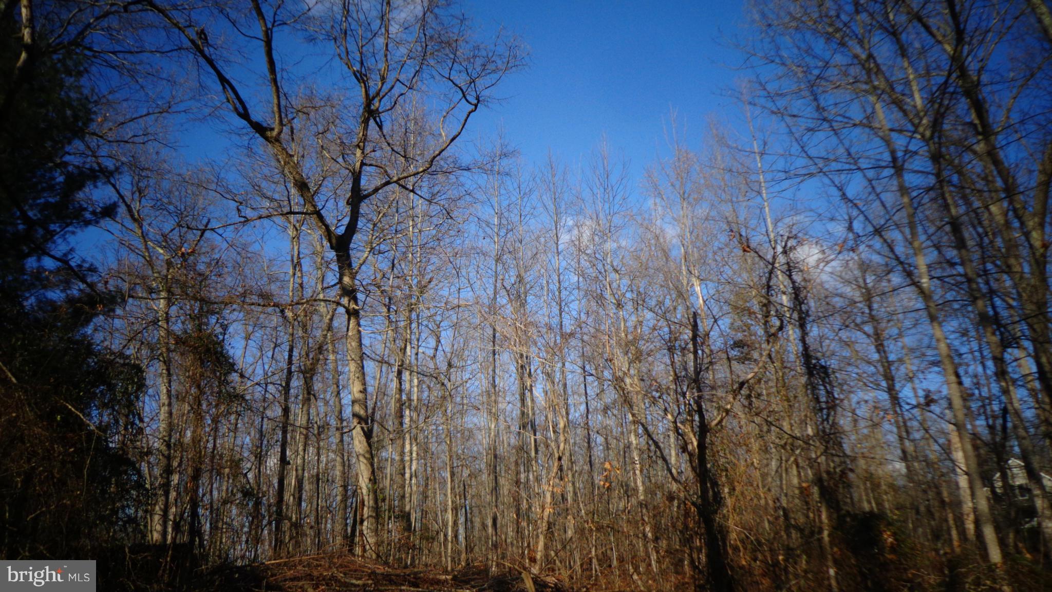 NONE AVAILABLE - Land