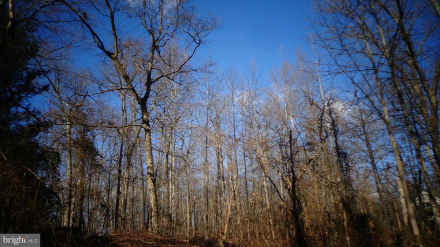 Beautiful 1.33 Acre Wooded Lot. Lot is in "AS-IS" condition. There is a deeded ingress and egress and a utility easement.