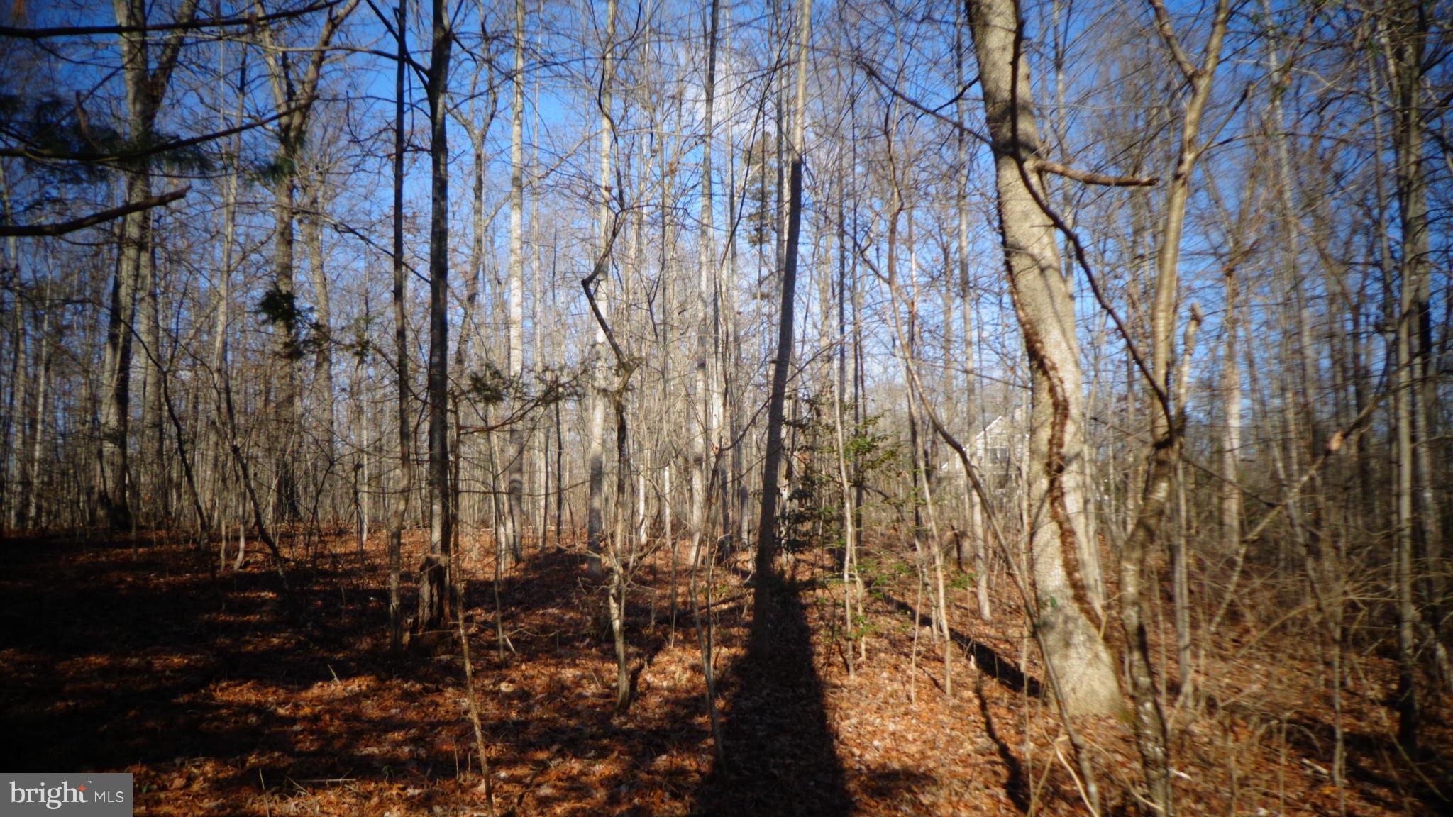 NONE AVAILABLE - Land