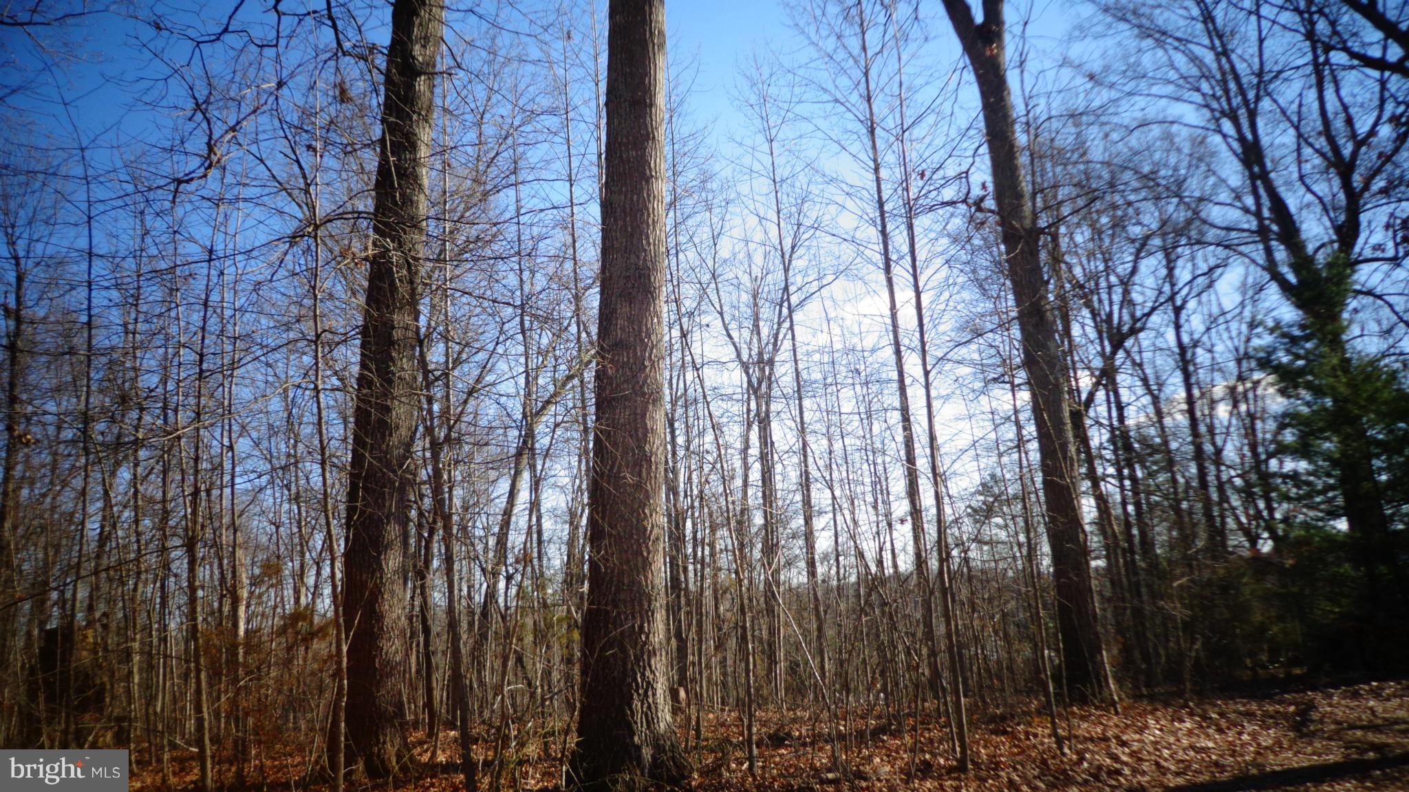 NONE AVAILABLE - Land