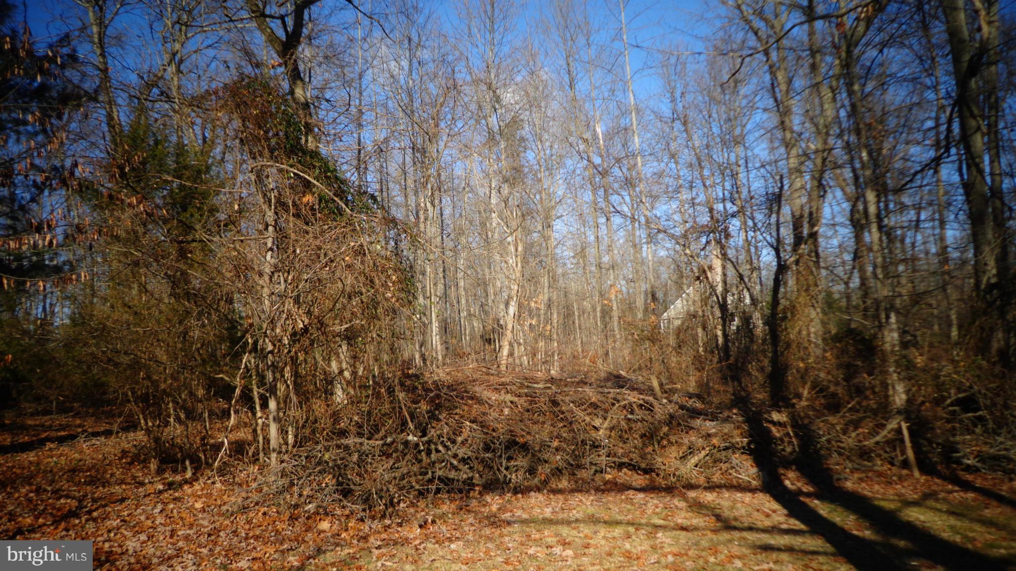 NONE AVAILABLE - Land