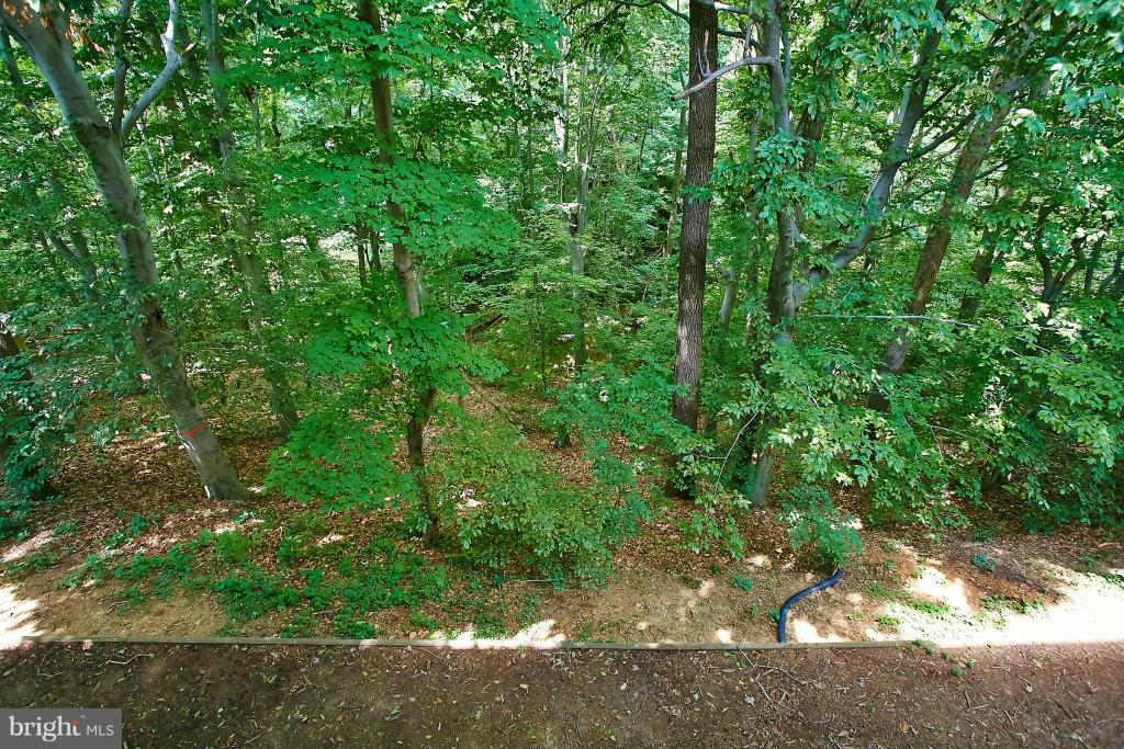 CHARING CROSS - Residential