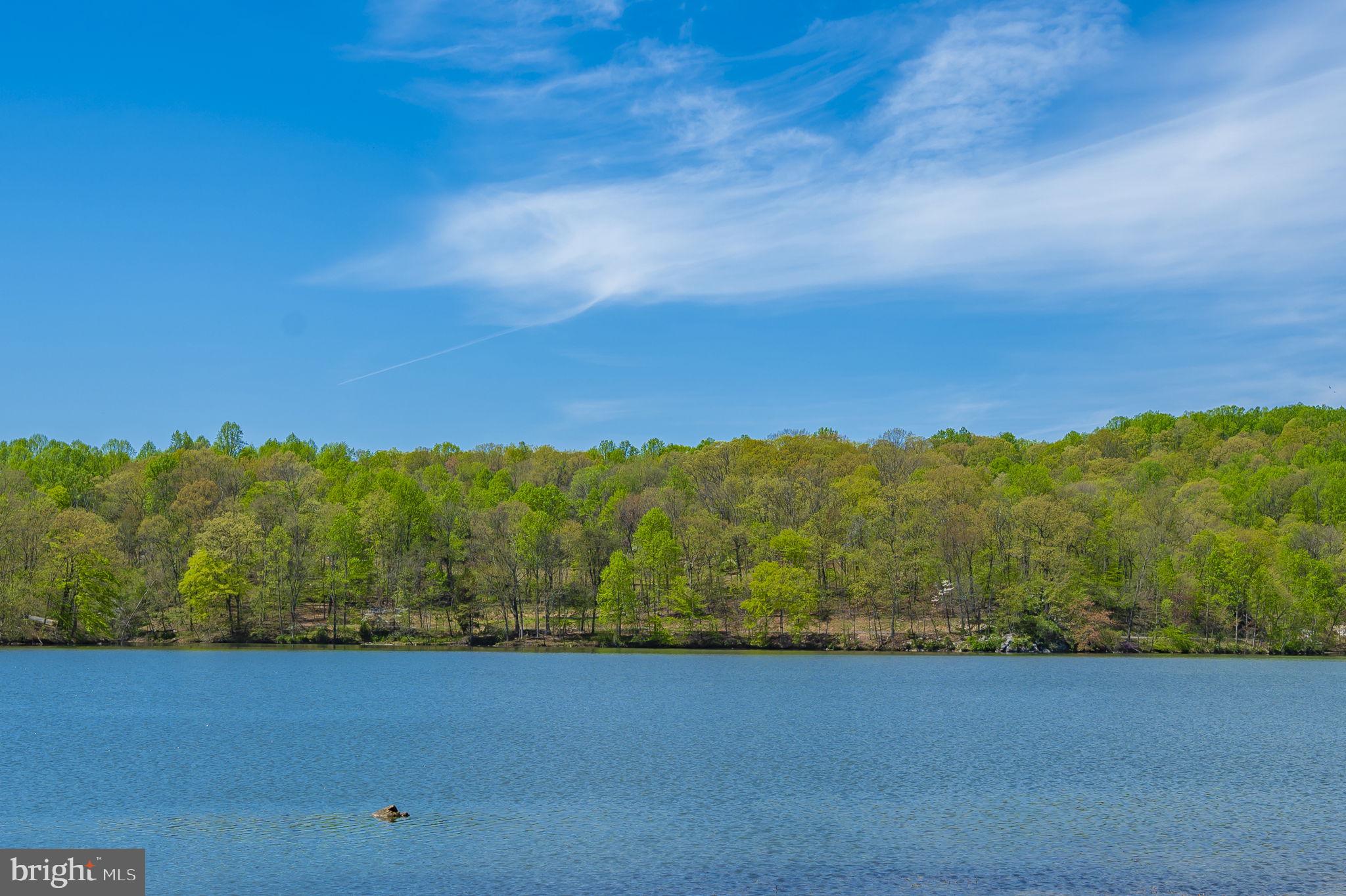 LAKE LINGANORE - Residential