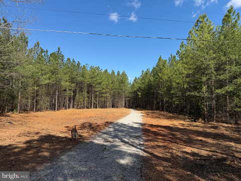 Vacant Land For Sale - LOT A Mountain Cut Rd<br/> APPOMATTOX, VA 24522