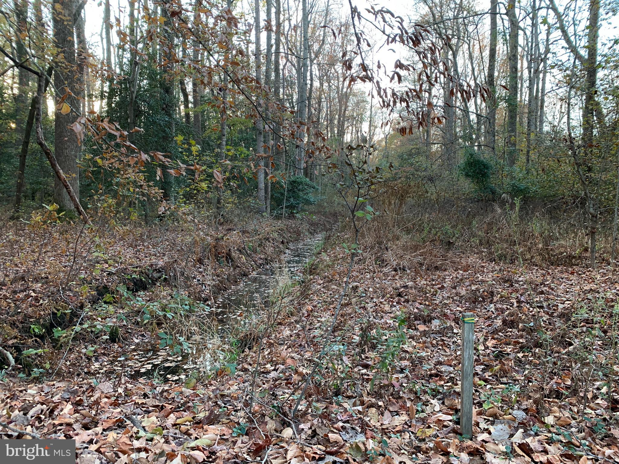 COUNTRY CLUB ESTATES - Land