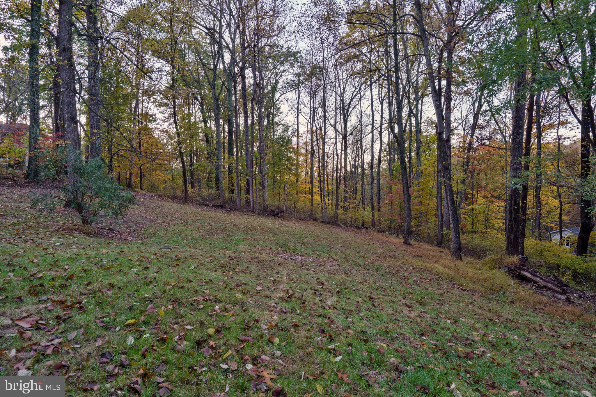 SHANNONDALE - Residential