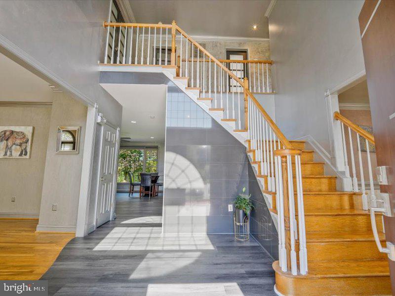 11 TALLEY COURT