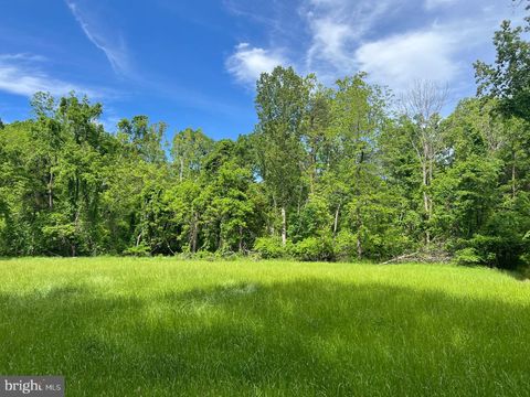 Vacant Land For Sale - Stony Point Pass<br/> Albemarle County, KESWICK, VA 22947