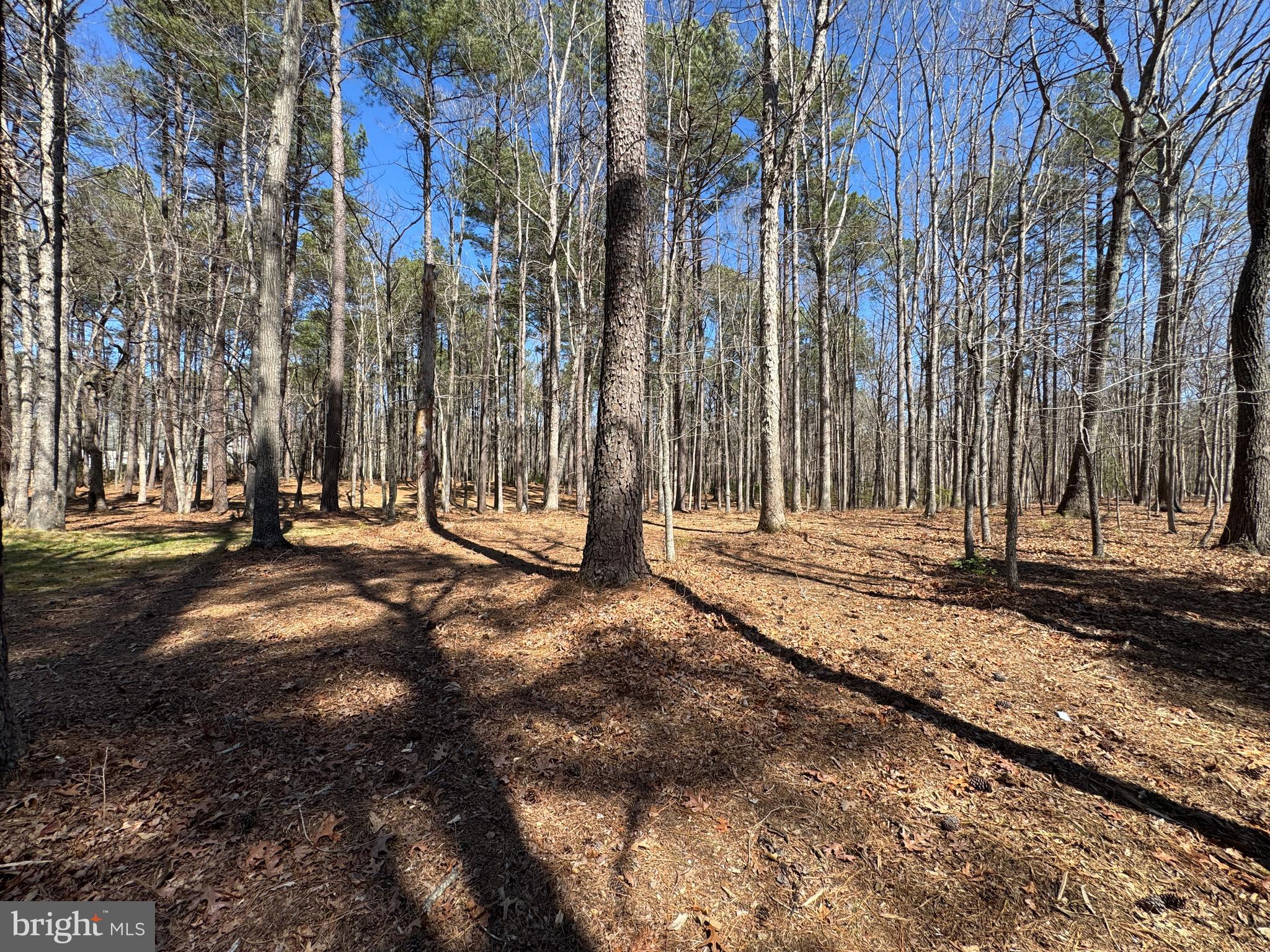 FAWN LAKE - Residential