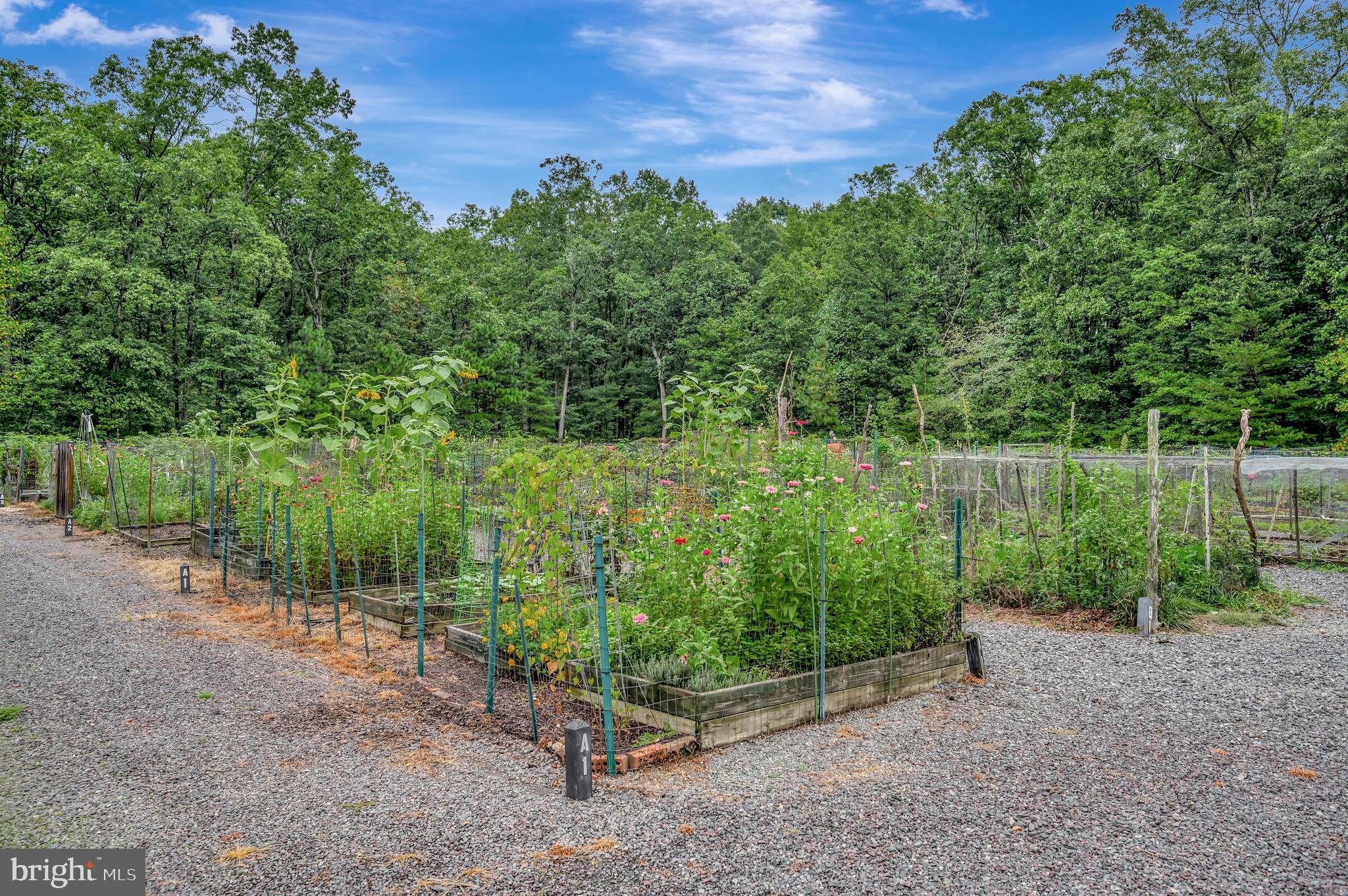 FAWN LAKE - Residential
