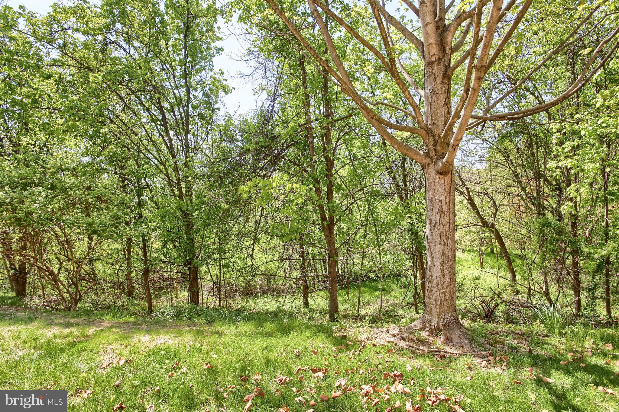 CHERRINGTON - Residential