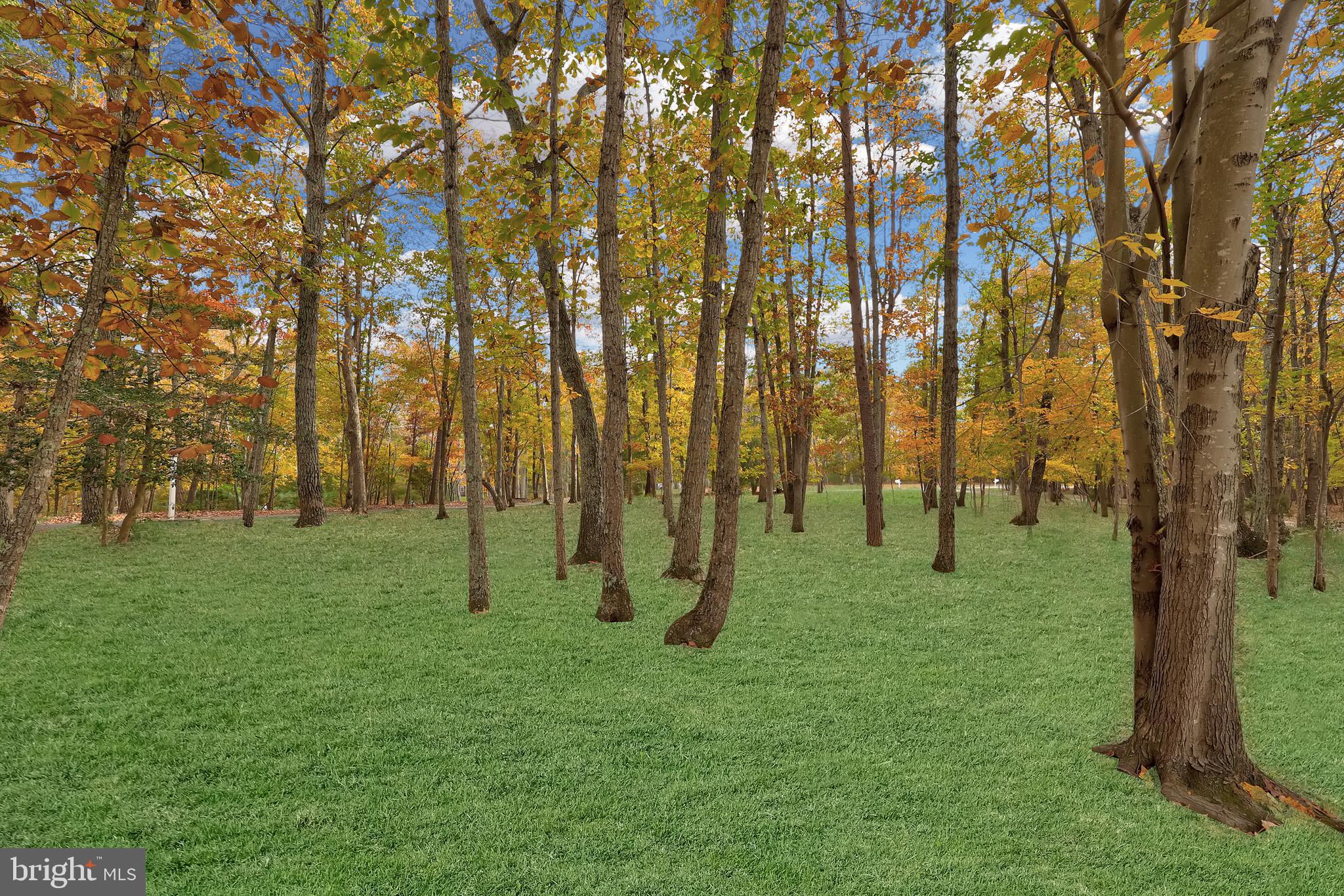 ESTATES OF CHANCELLORSVILLE - Residential