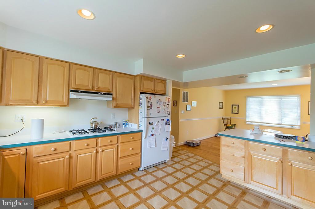 CACAPON SOUTH - Residential