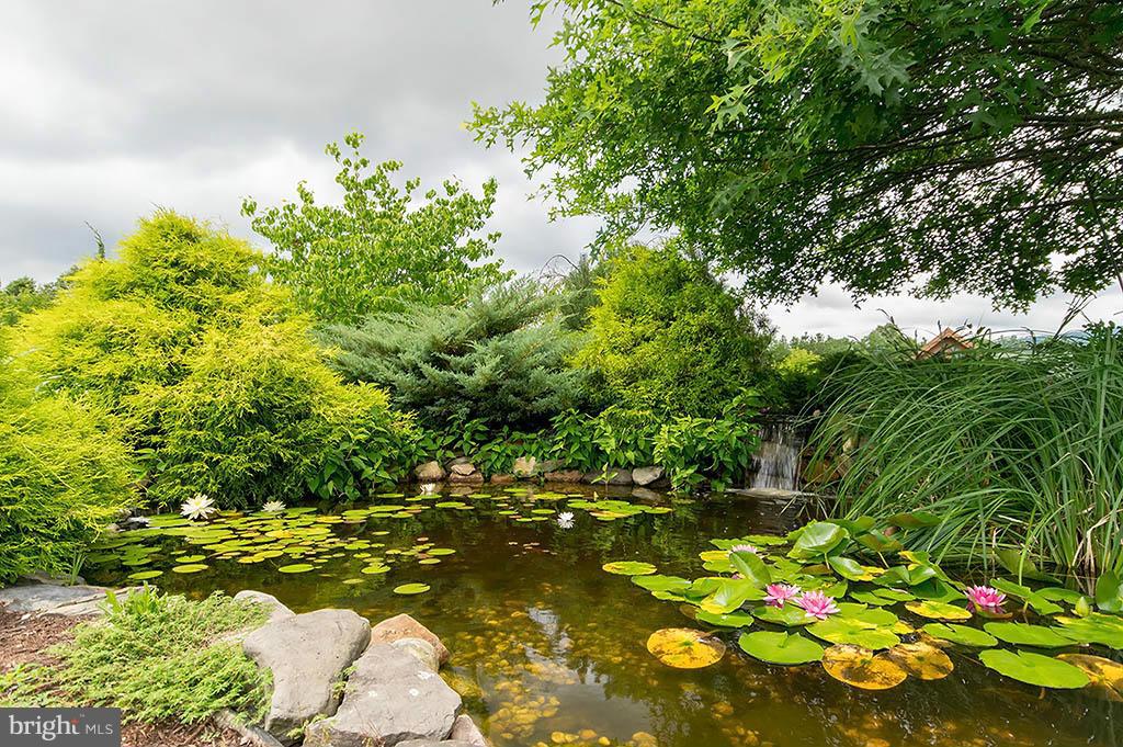 CACAPON SOUTH - Residential