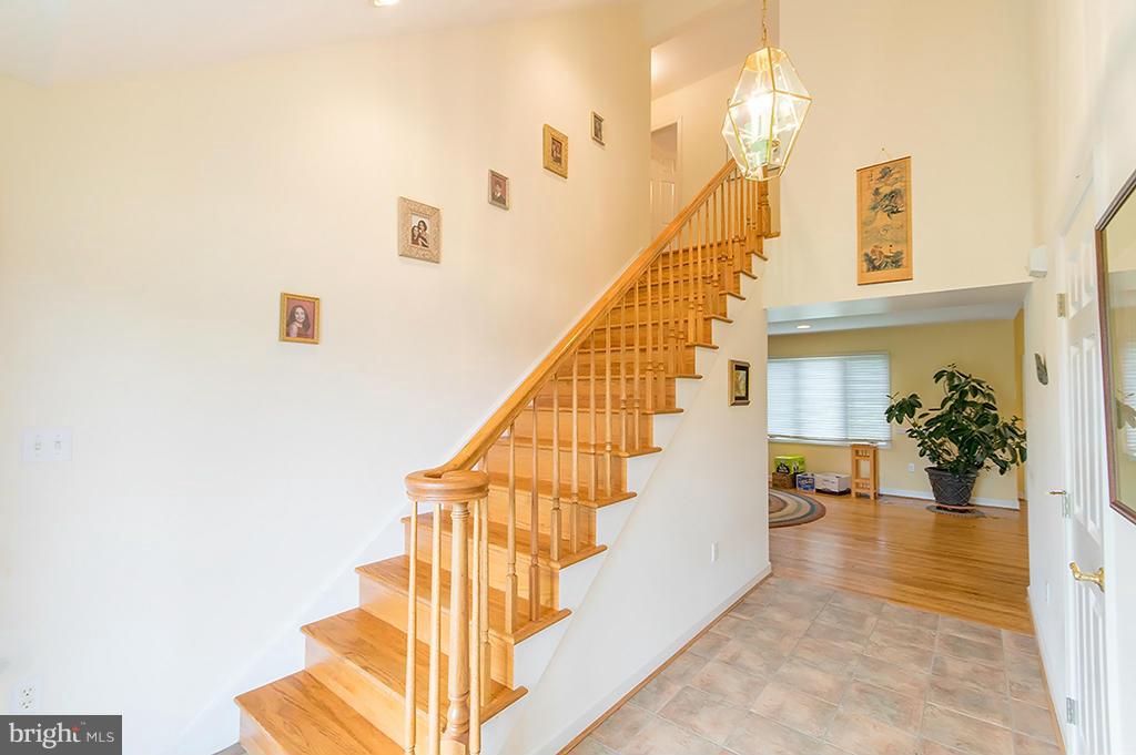 CACAPON SOUTH - Residential